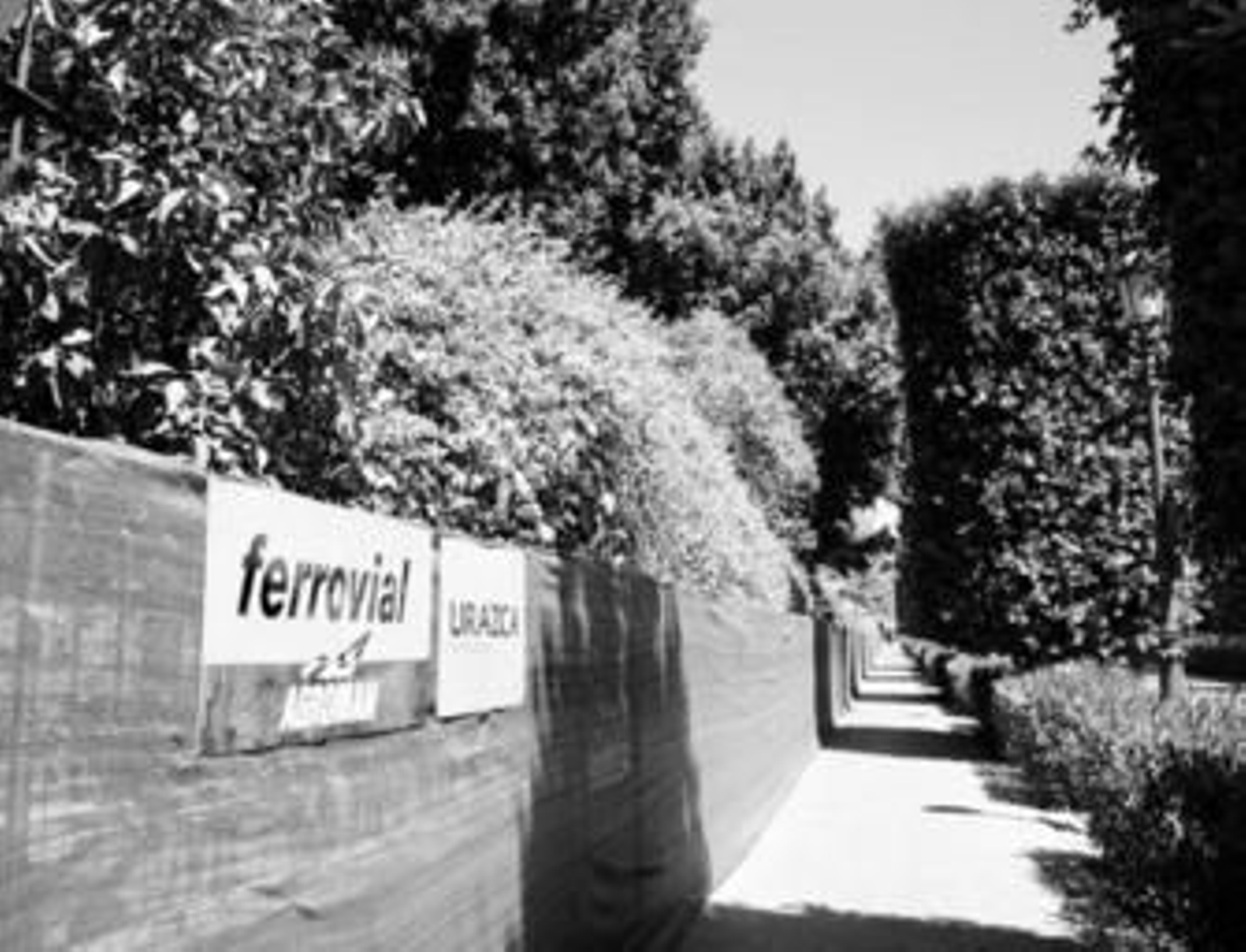 El vallado de obra en la zona del Prado donde se levantará la biblioteca.