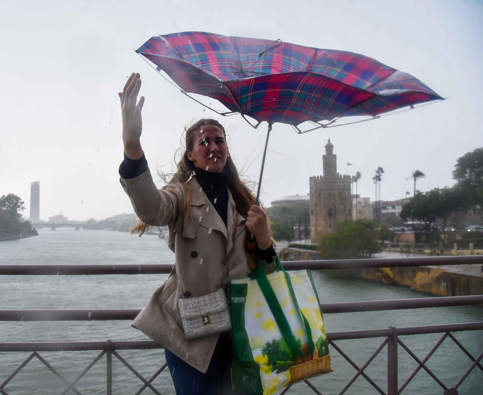 El paso de la Borrasca Claudia por Sevilla en imágenes