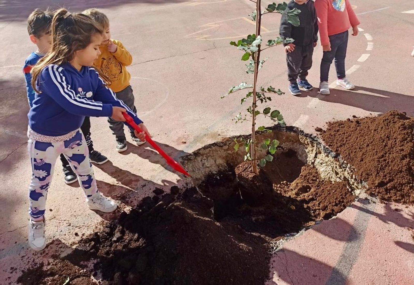 Educación ambiental y responsabilidad social en el CEIP Buenavista.