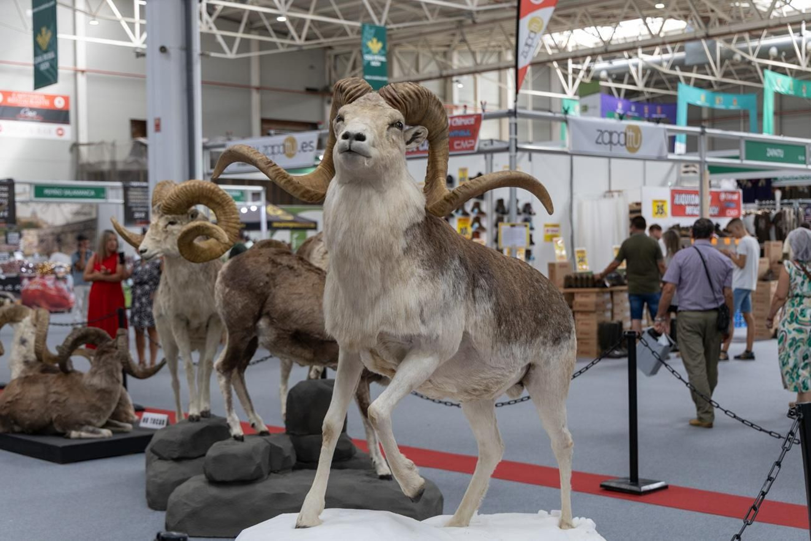 XVII Feria de Caza y Pesca de la Provincia de Jaén, Ibercaza