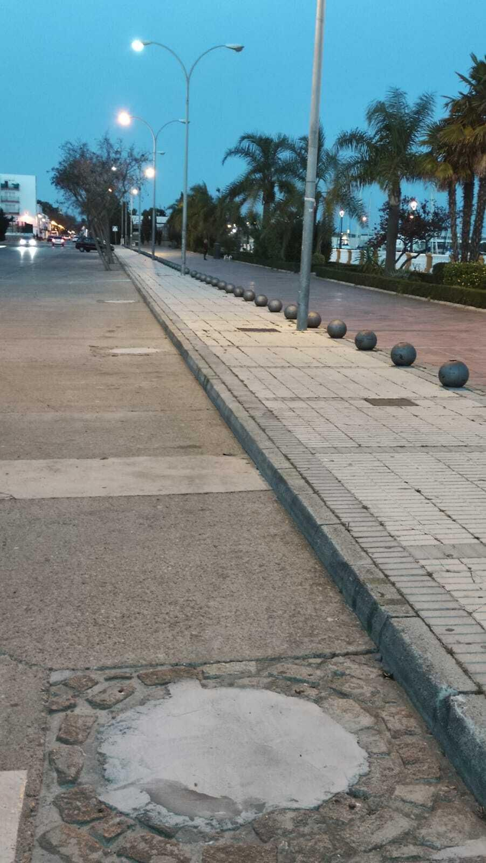 Alcorques hormigonados junto al paseo José Luis Tejada.