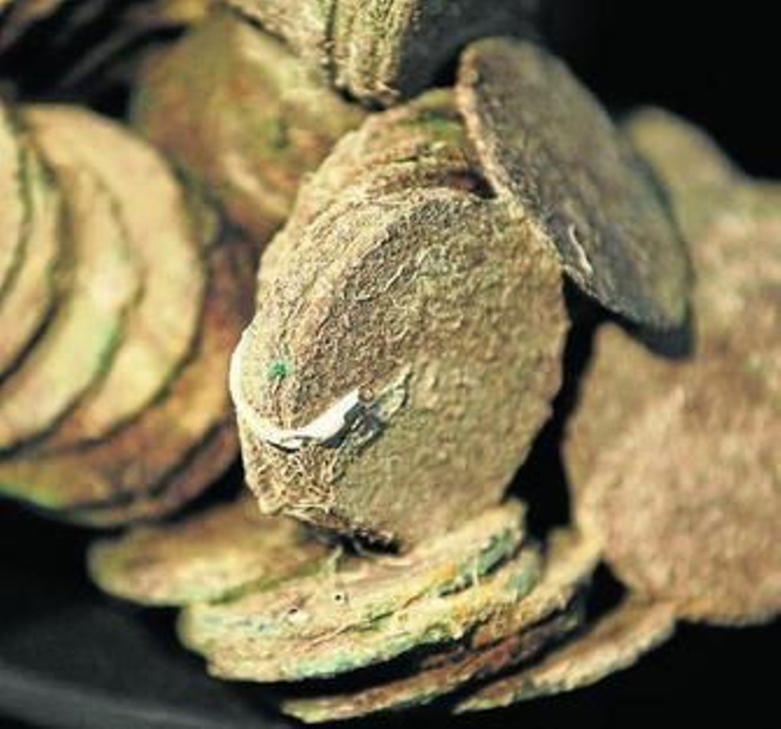 Monedas del tesoro de la fragata 'Nuestra Señora de las Mercedes'.