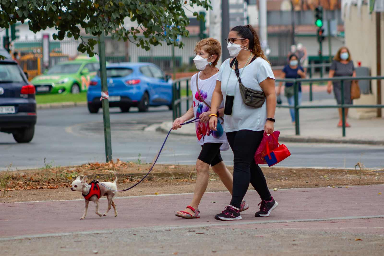 Pasear es una buena actividad para obtener vitamina D