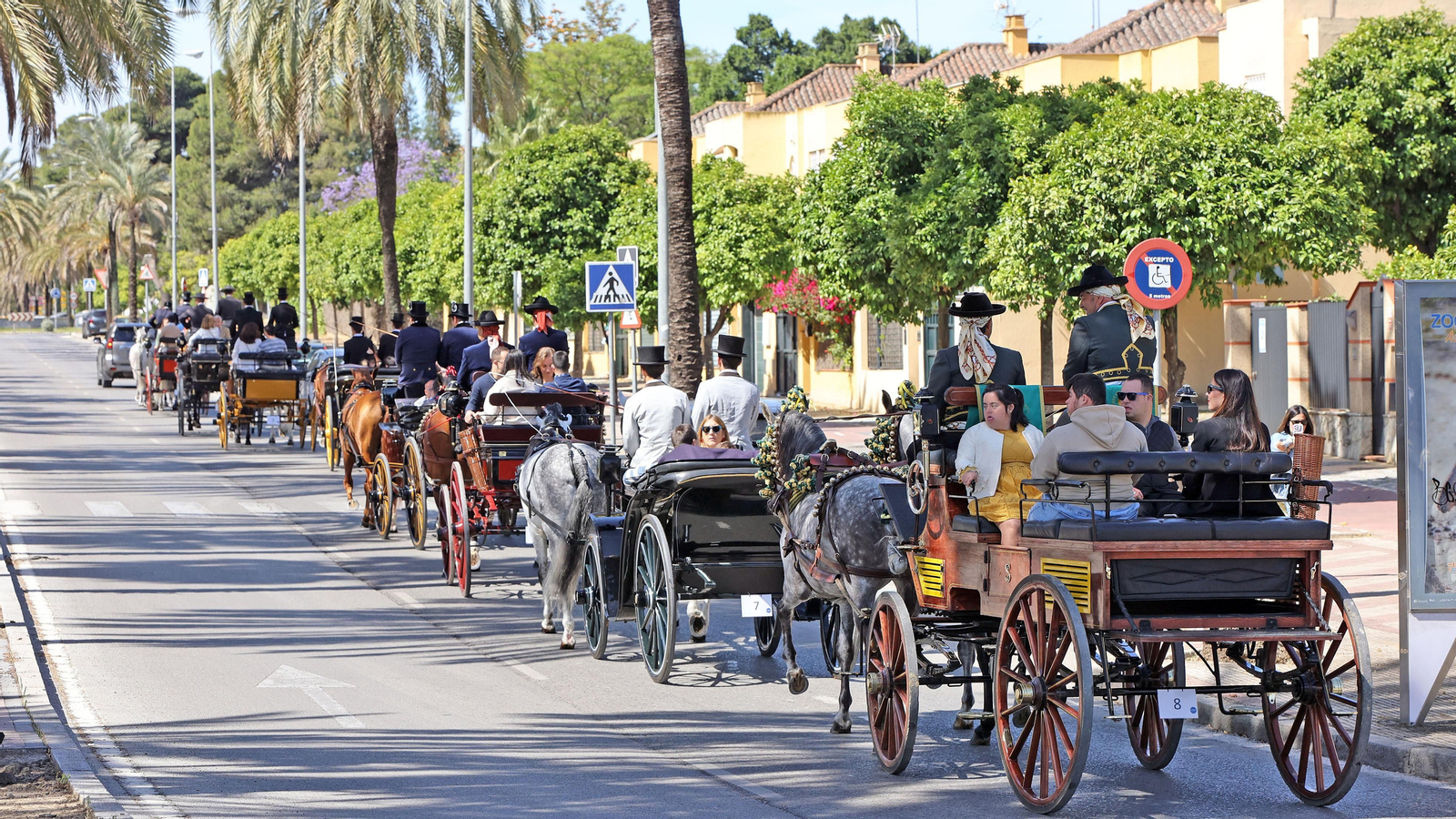 'Los carruajes de la integración' con jóvenes de Cedown y Aspanido por Jerez