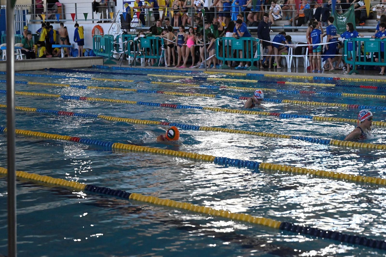 Las mejores imágenes del Torneo Ciudad de Córdoba de natación
