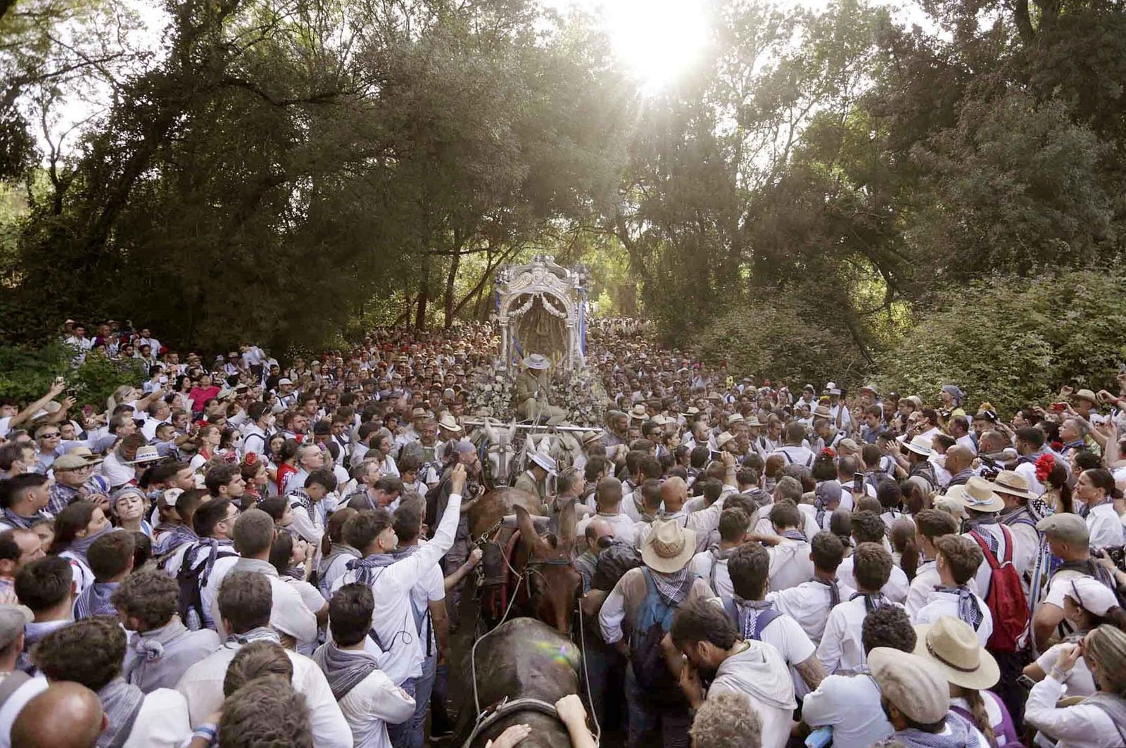 La Hermandad del Rocío de Huelva en el camino.