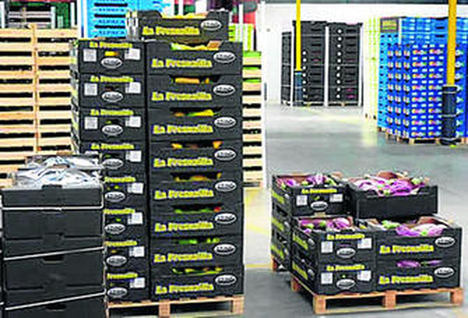 Imagen de hortalizas en el almacén de Alpaca Hortofrutícola SL, que la firma muestra en su página web.