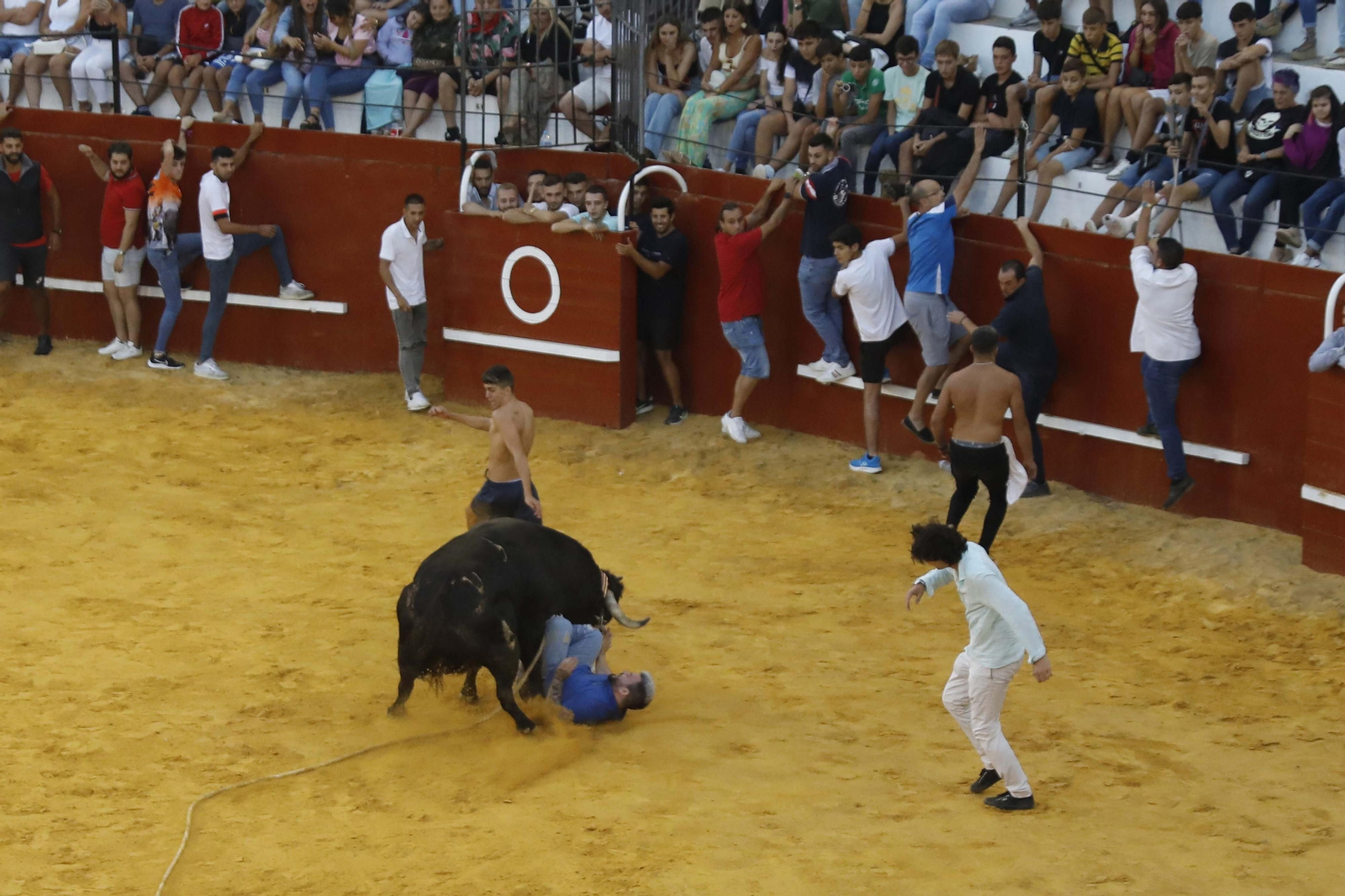 Un mozo se lleva un revolcón del Toro del Aguardiente.