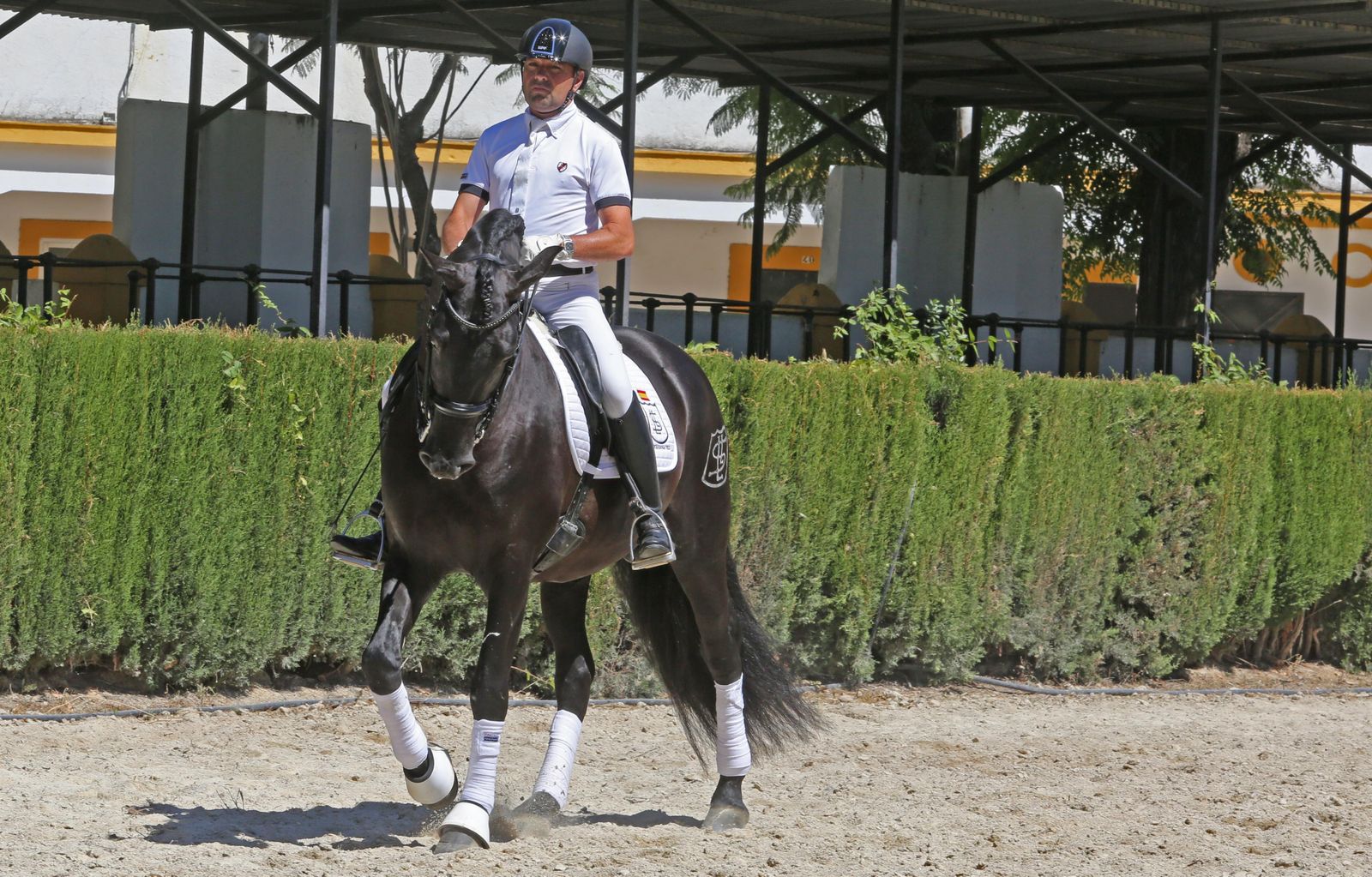 El concurso de doma reabre Sementales