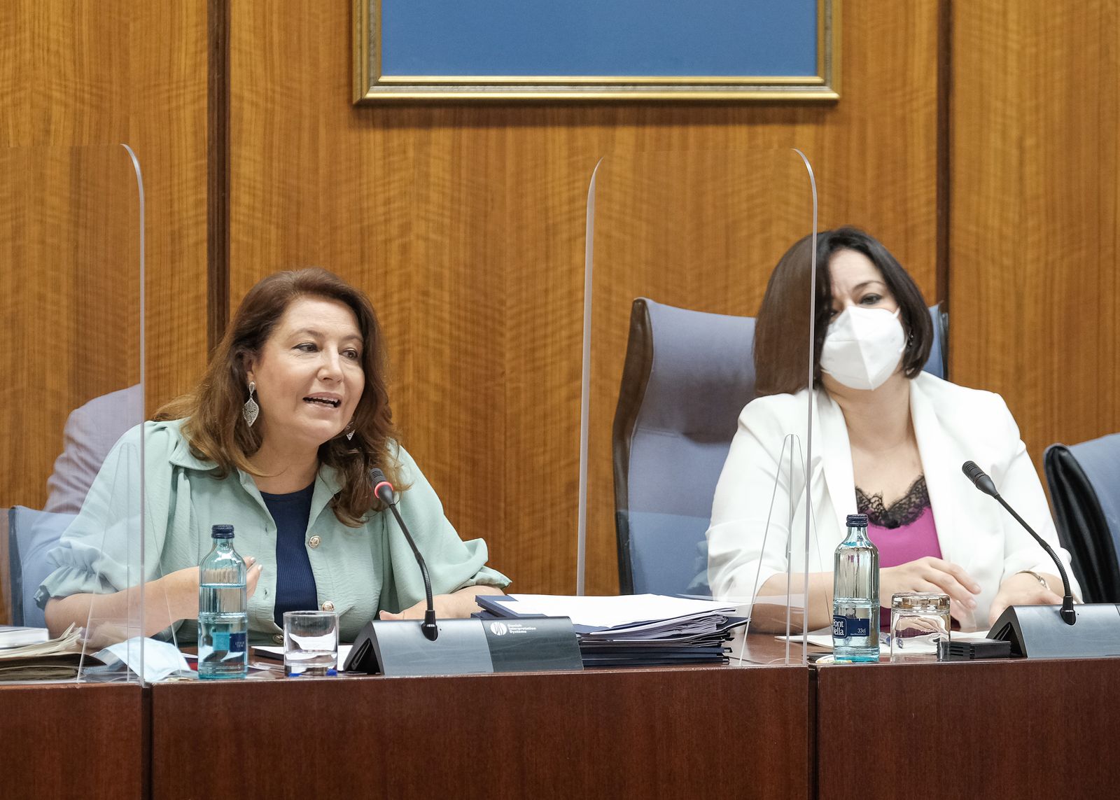 La comparecencia sobre agricultura ecológica de la consejera en comisión parlamentaria.