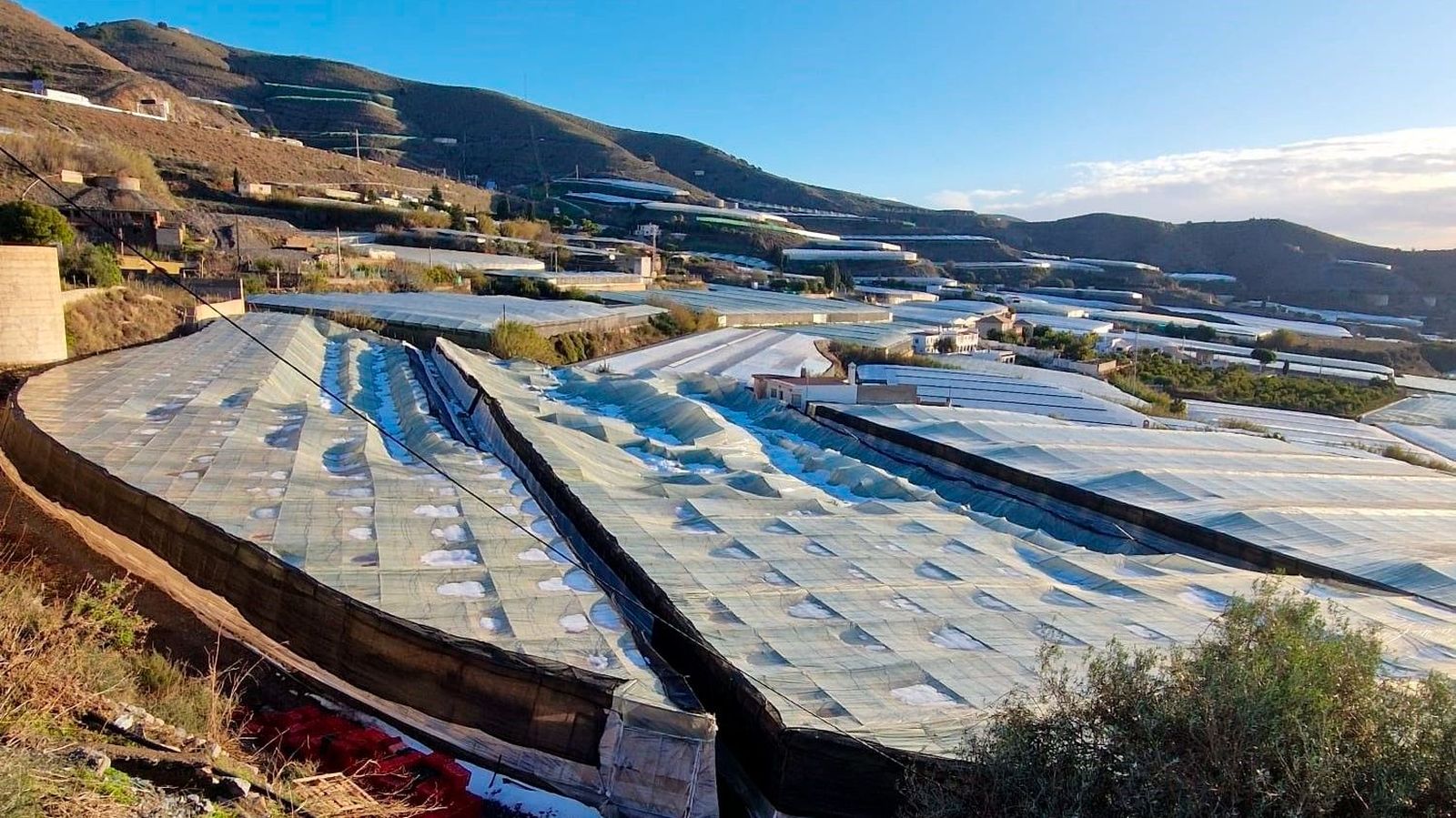 Daños del temporal en explotaciones agrarias en Carchuna