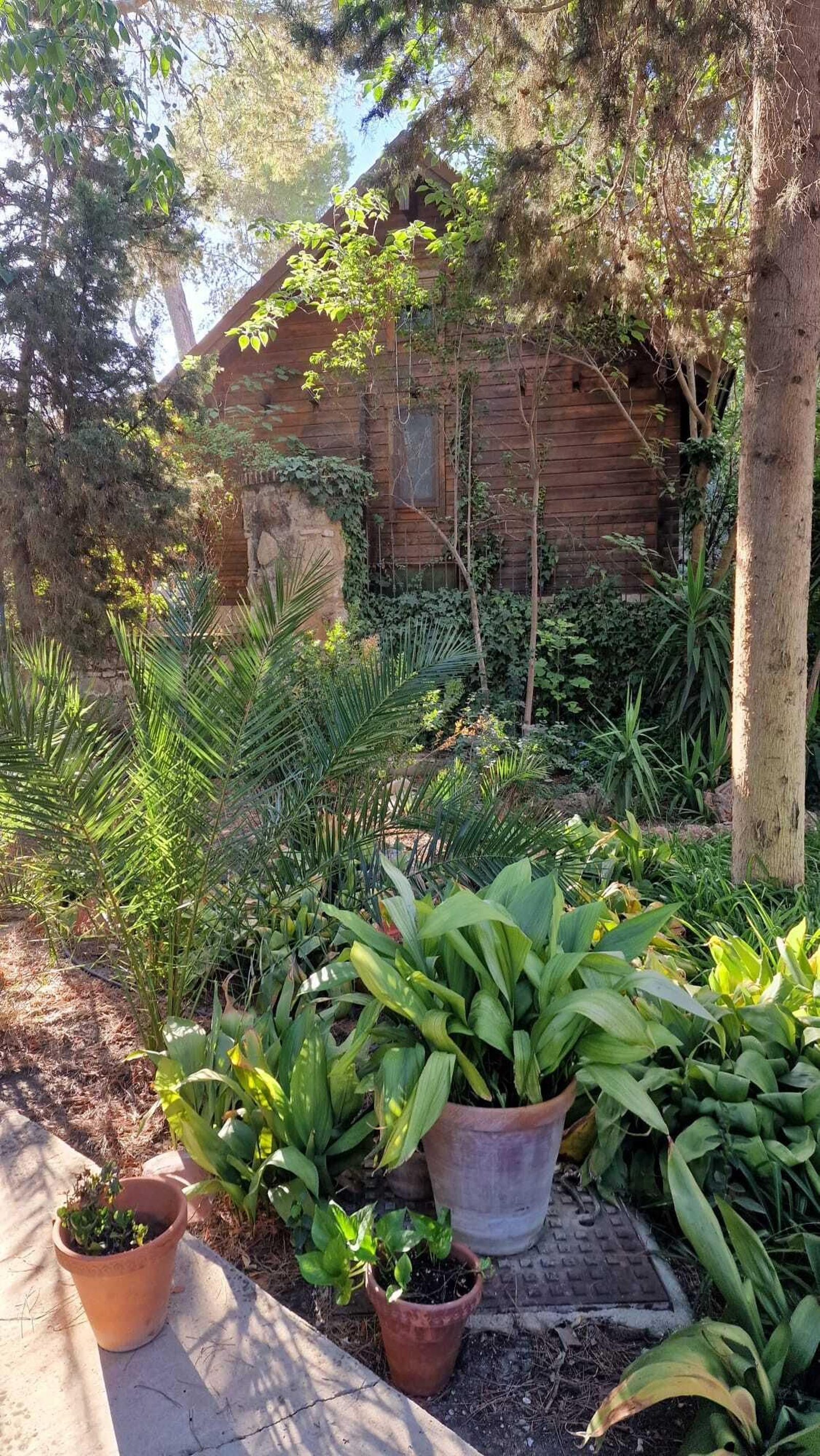 El verde lo inunda todo, también la zona de cabañas.