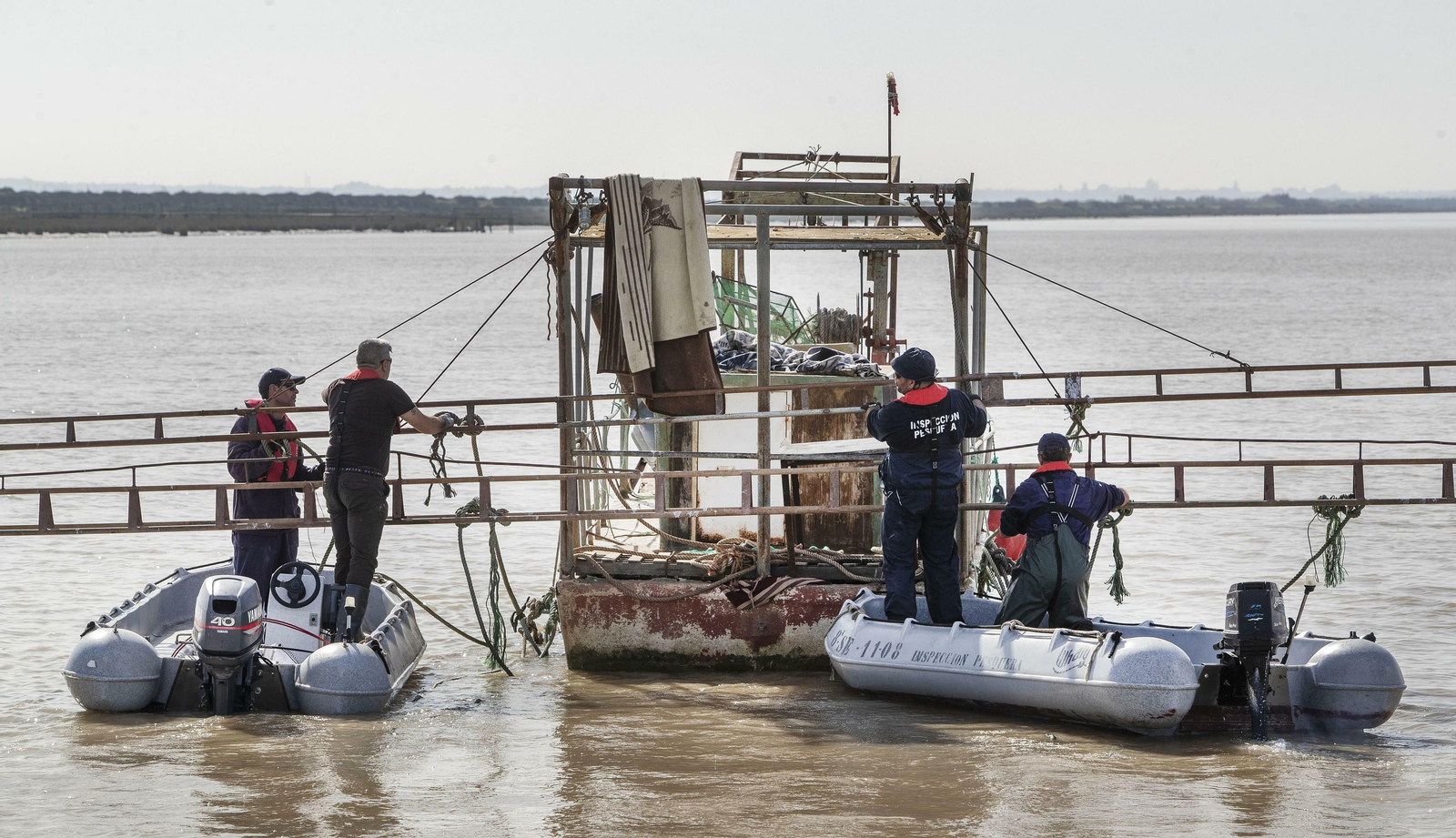 Operación Ave  fenix contra la pesca  de la angula