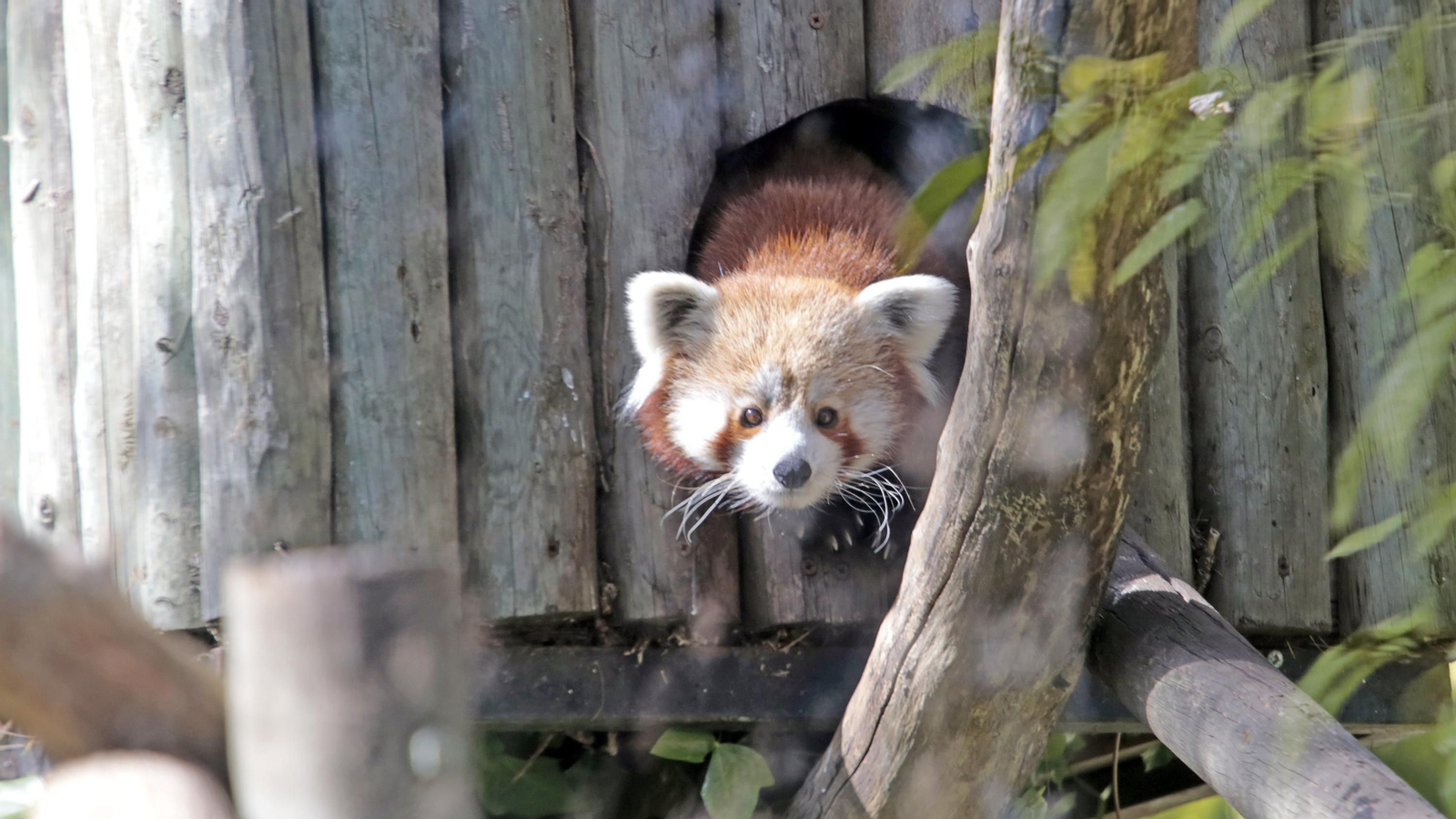 69 aniversario del Zoo de Jerez