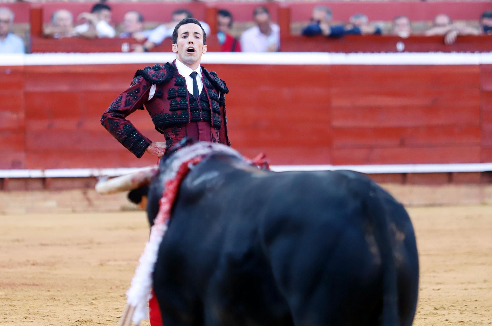 Imágenes de Morante de la Puebla, David de Miranda y Pablo Aguado en la Plaza de Toros La Merced
