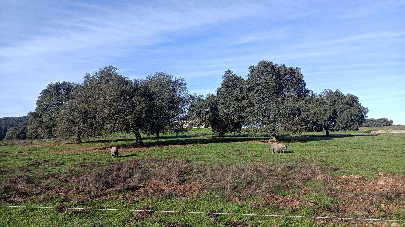Terrenos del Cortijo de Santa Ana.