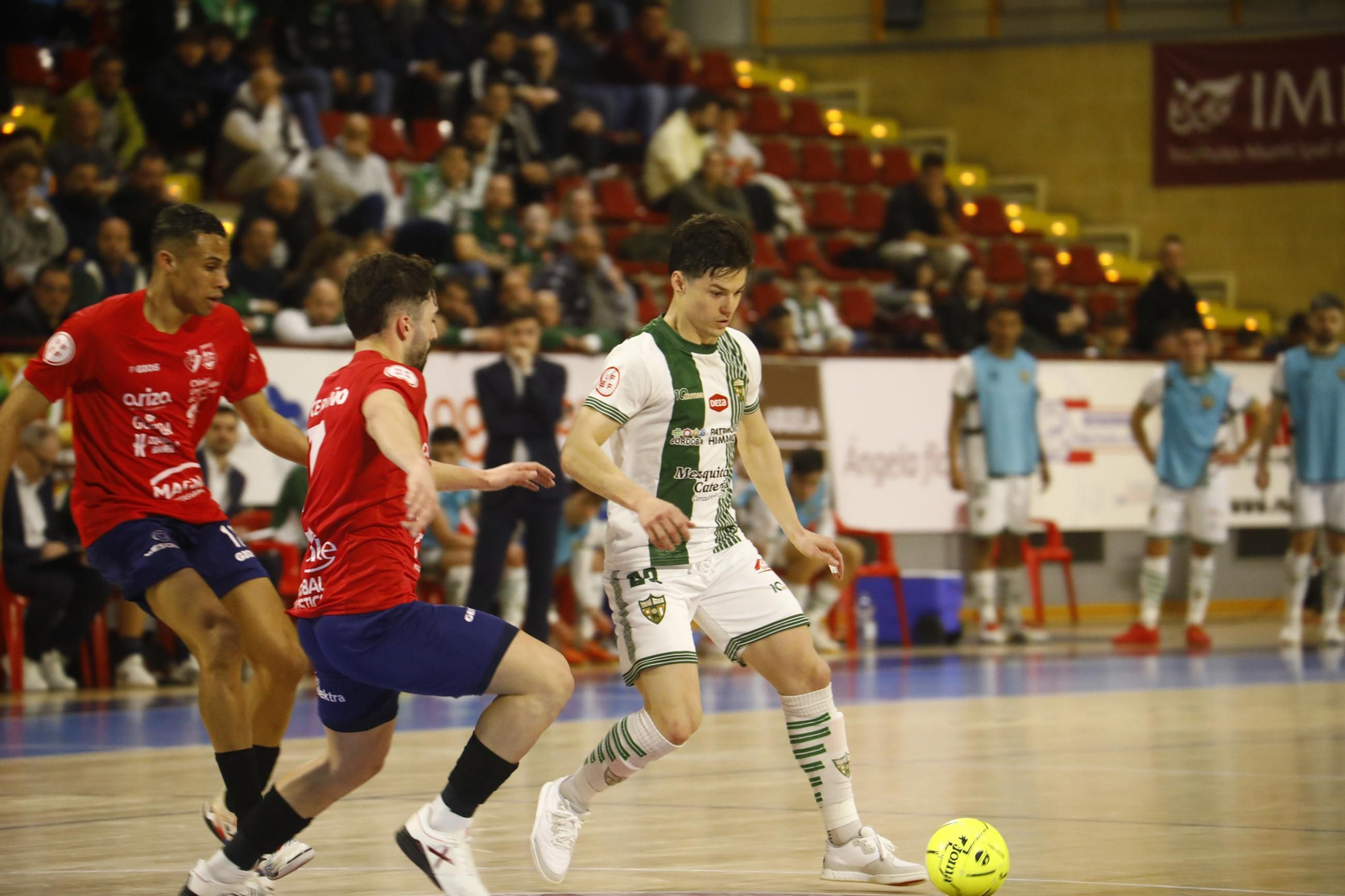 Las mejores fotos del Córdoba Futsal - Osasuna Magna en Vista Alegre