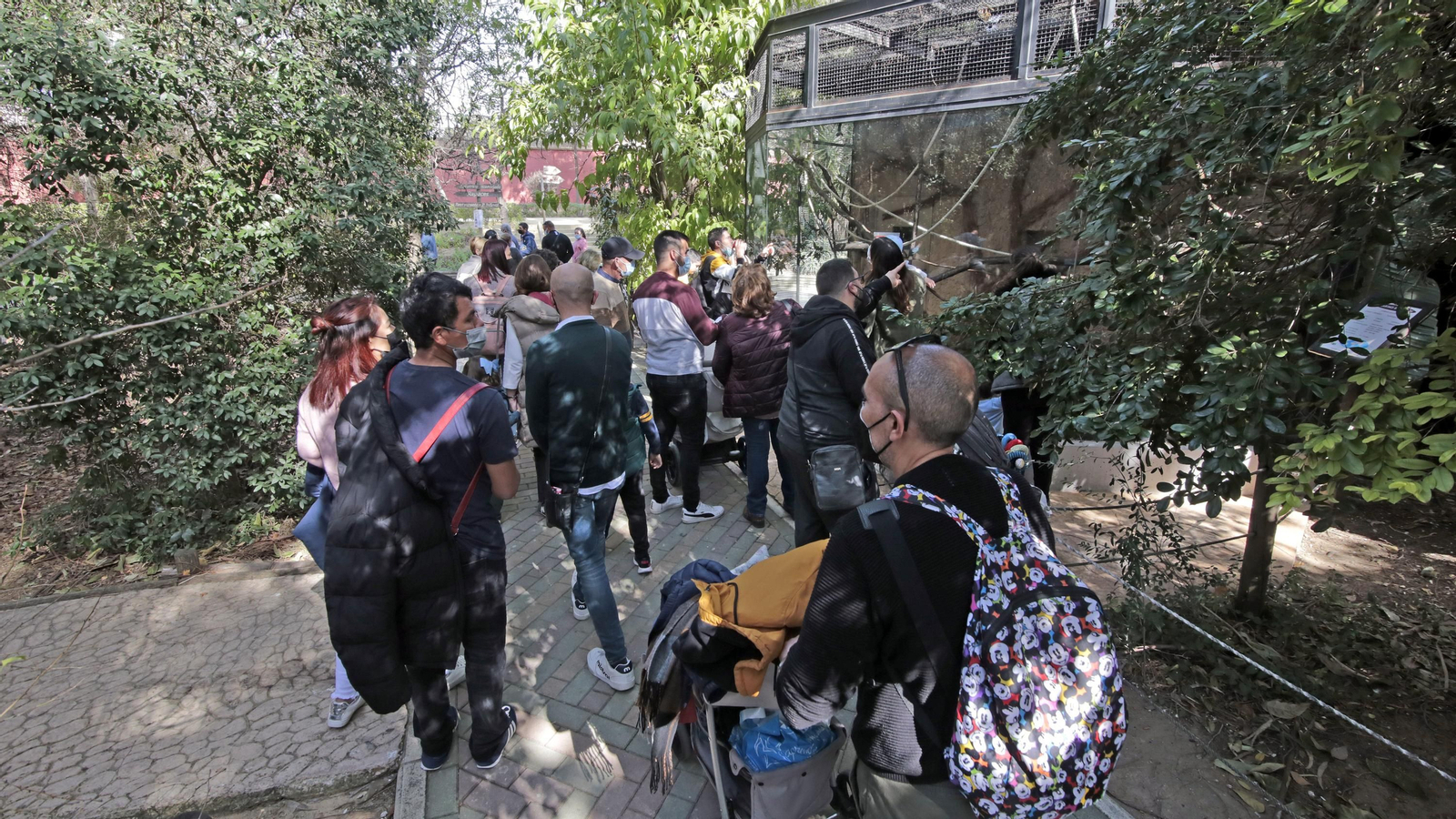 69 aniversario del Zoo de Jerez