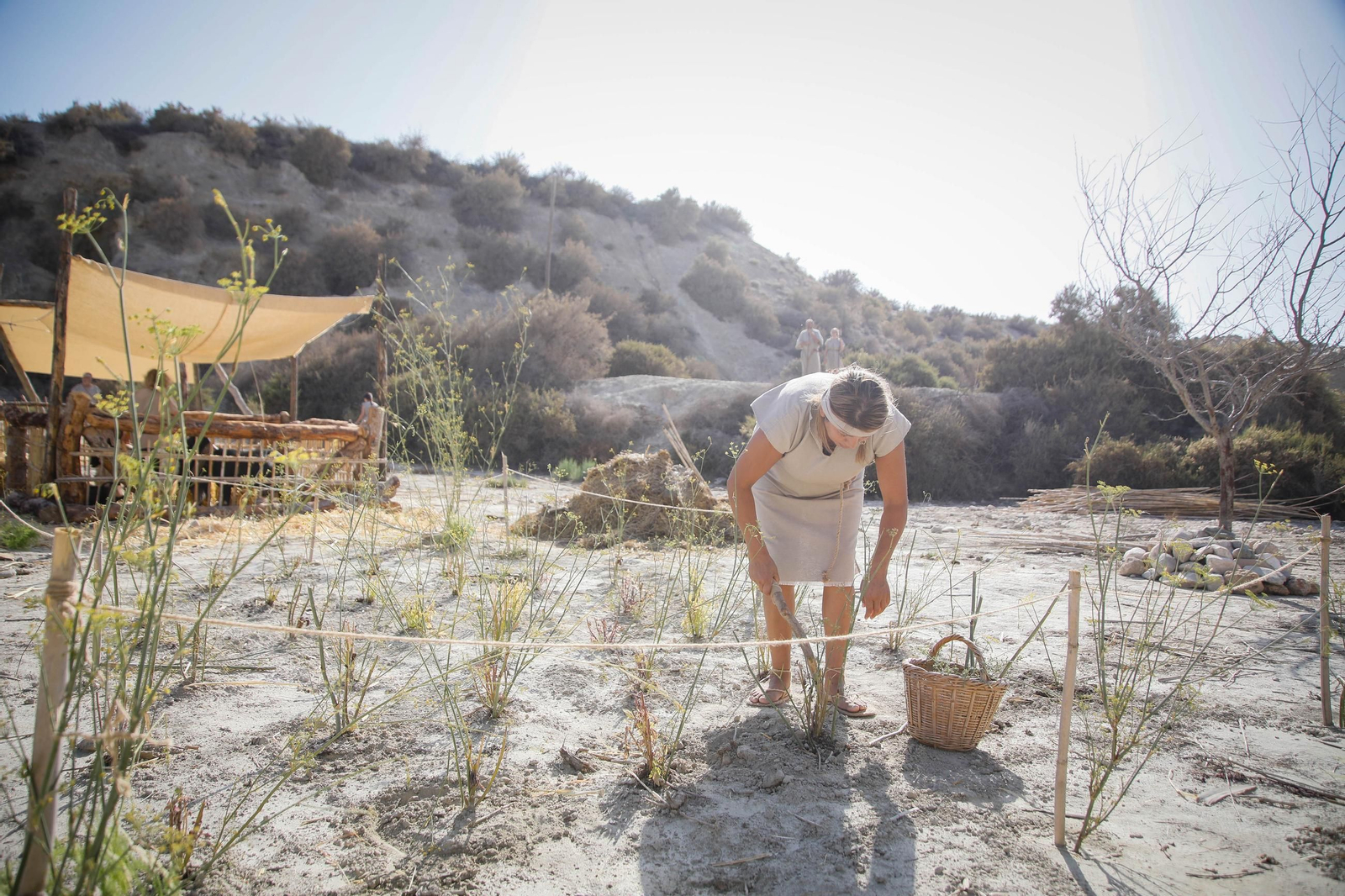 Así se ha vivido la segunda recreación histórica de la cultura argárica en Antas