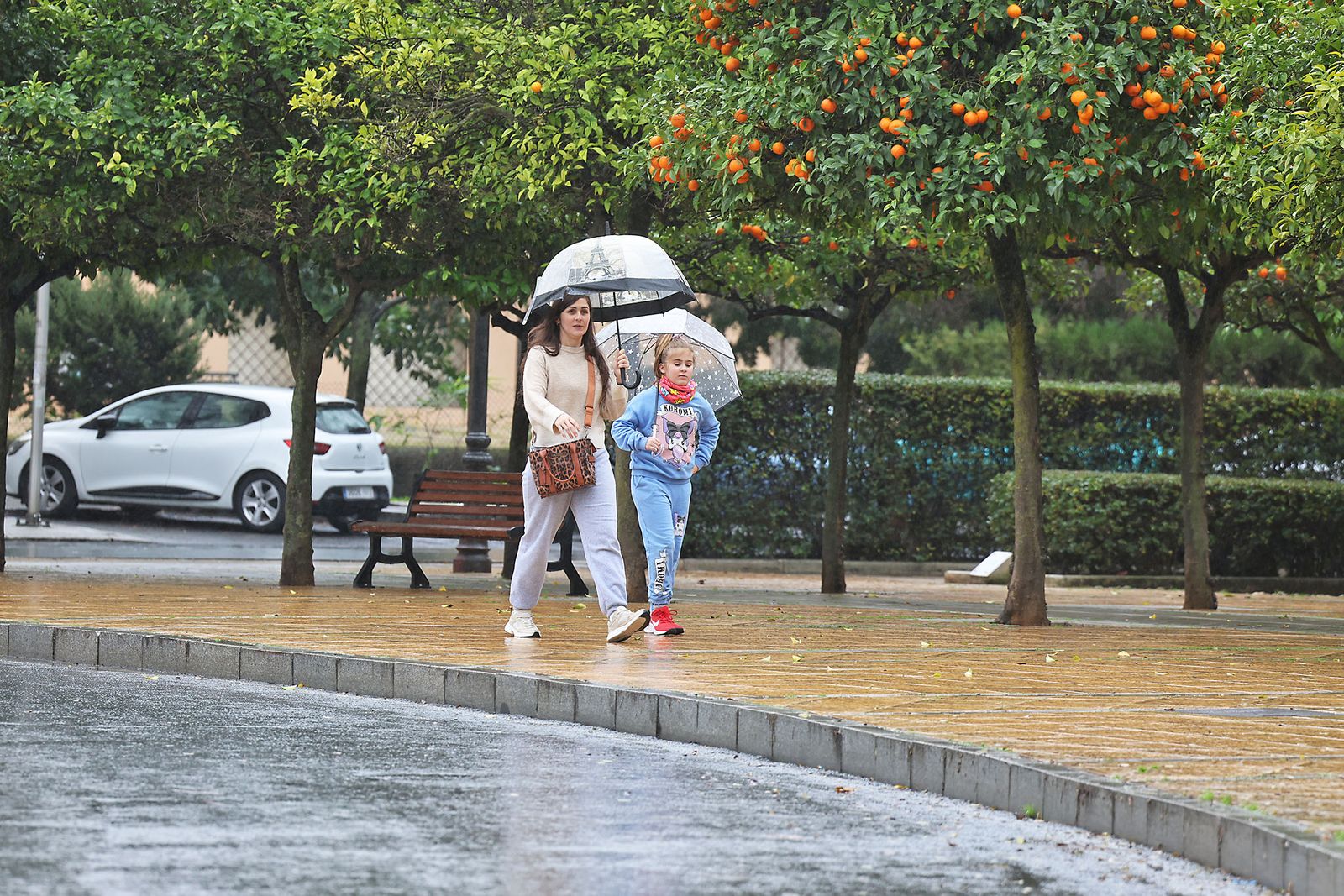 Las imágenes más destacadas del sábado 25 de enero en Huelva