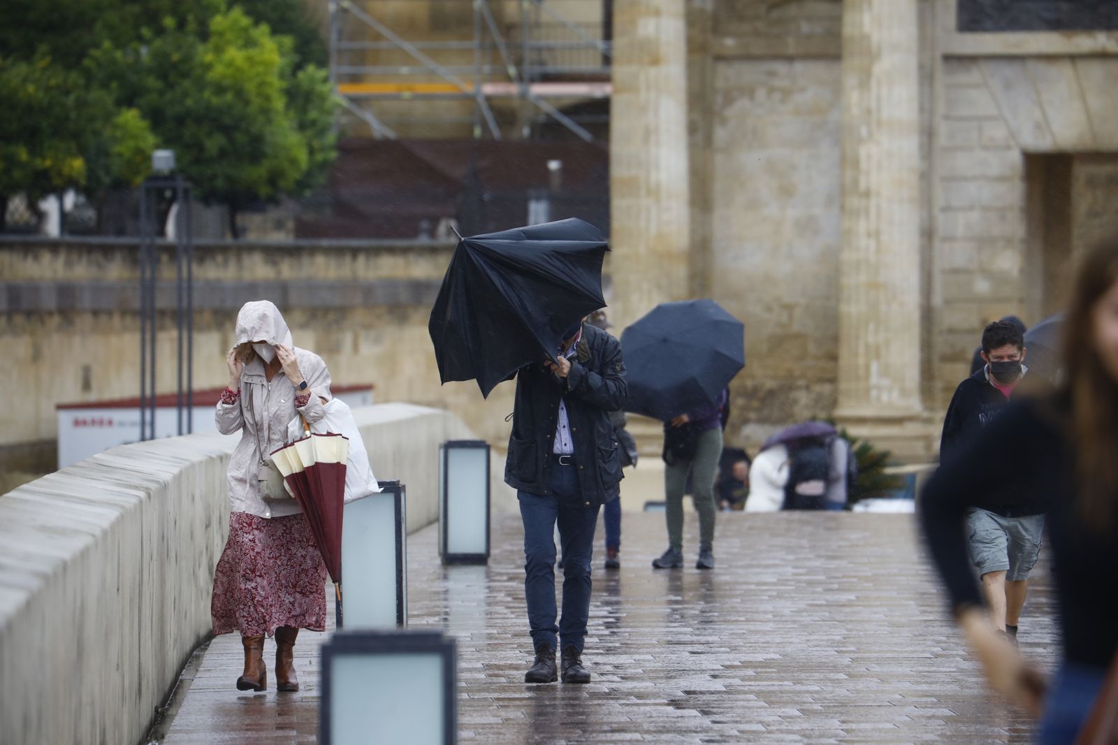 Las fotografías del regreso de la lluvia a Córdoba en pleno puente de Todos los Santos