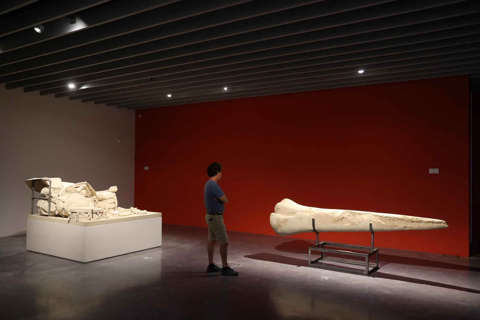 El Museo Pompidou de Málaga inaugura la exposición 'Miradas de artista', en imágenes