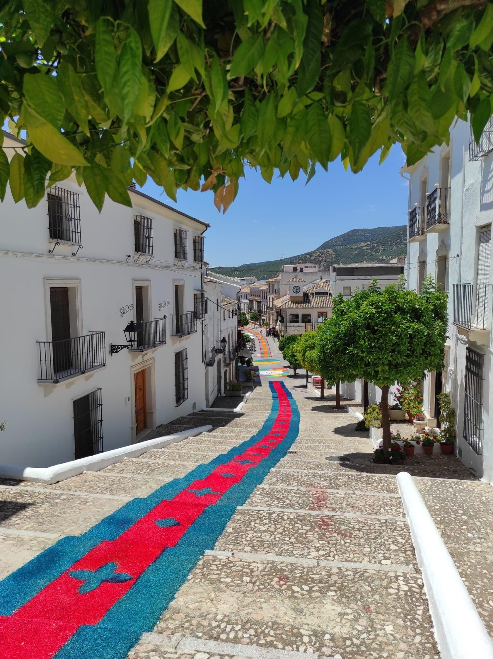 Un recorrido en imágenes por las coloridas alfombras del Corpus en Valenzuela, Belmez y Carcabuey