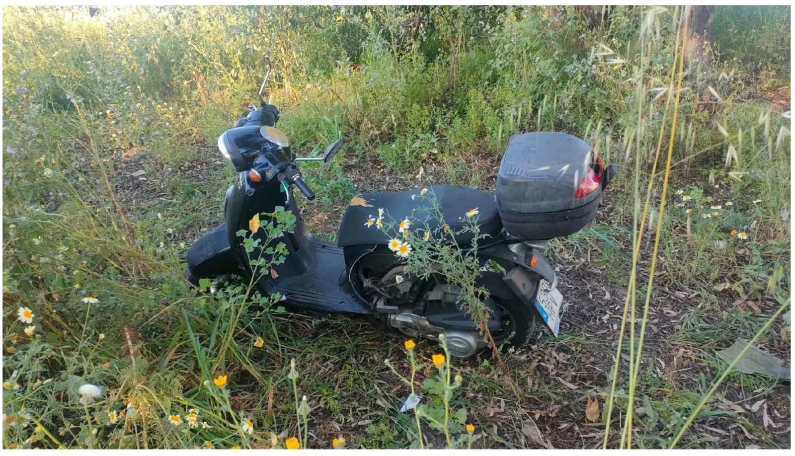 Vehículos encontrados por la Policía Local de Huelva.