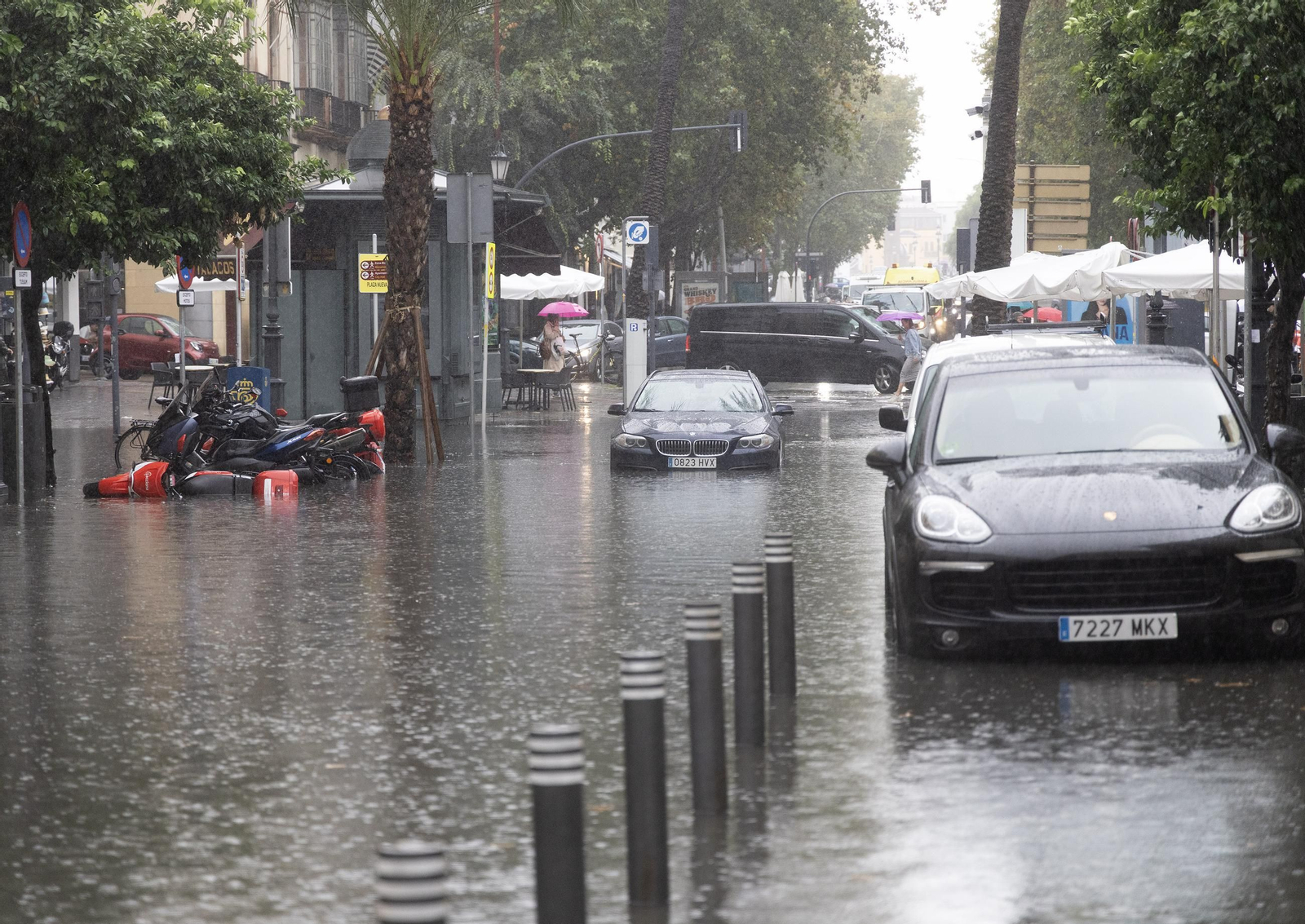 El centro de Sevilla anegado, todas las fotos.