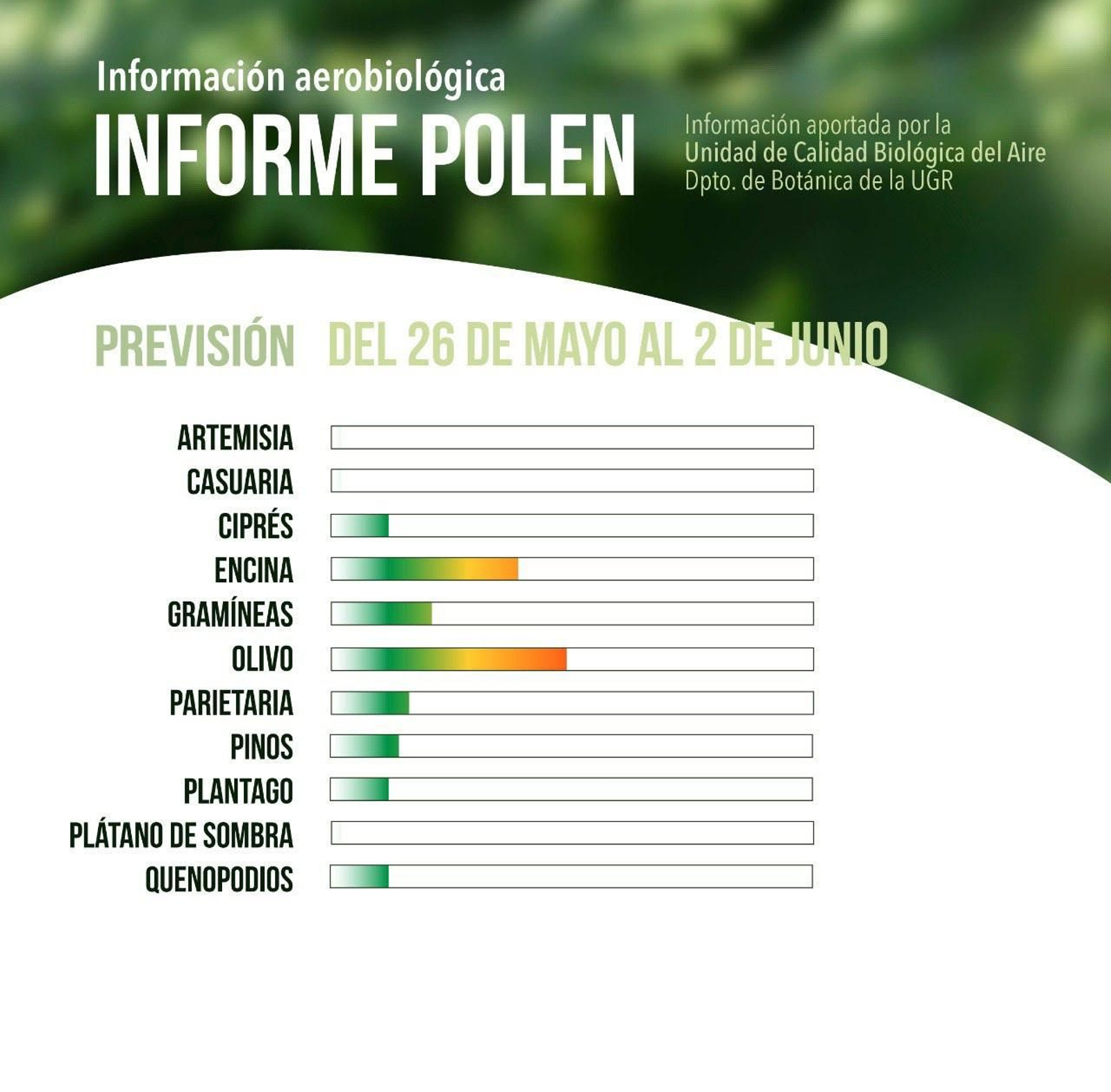 Previsión de los niveles de polen del 26 de mayo al 2 de junio