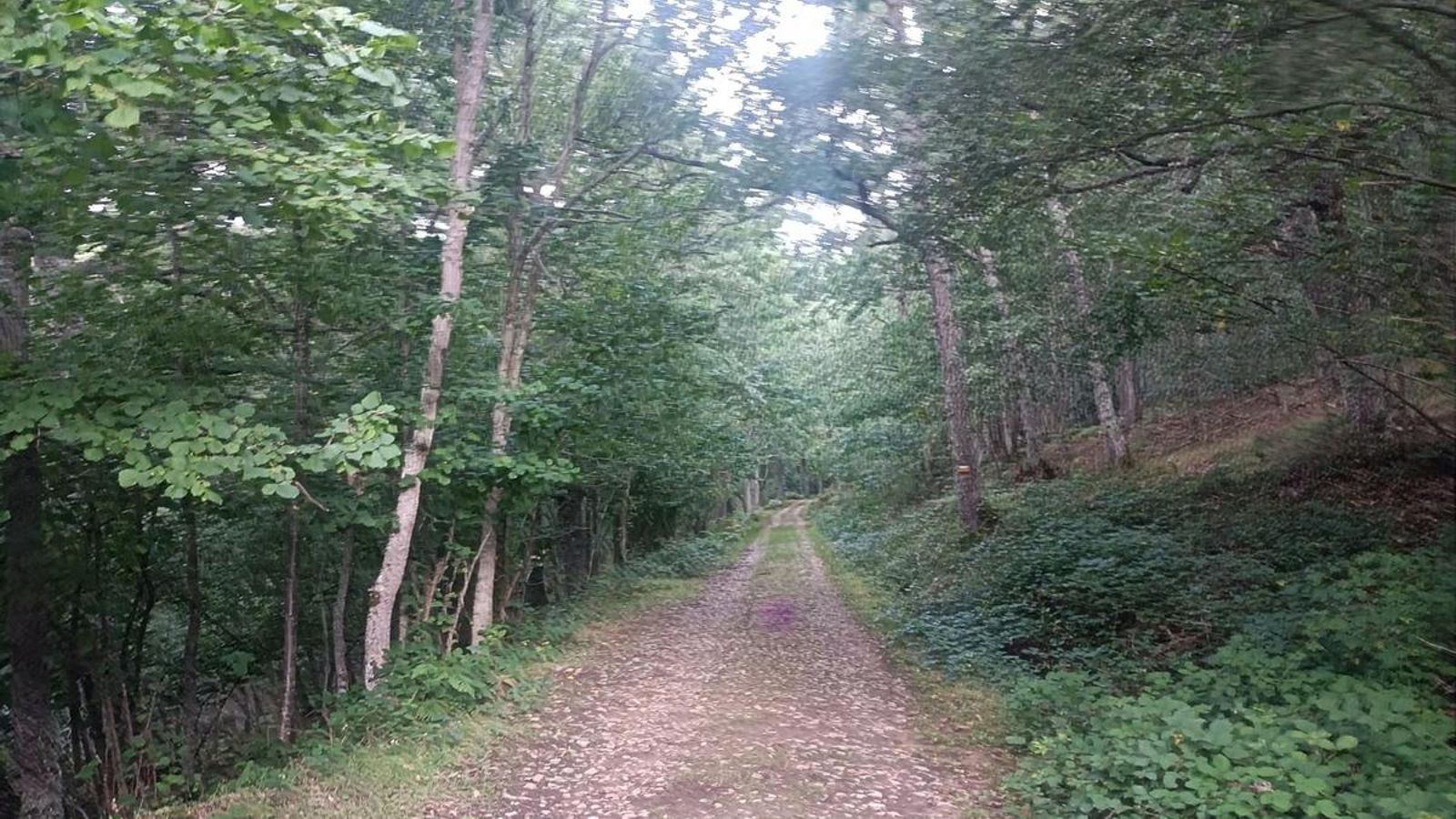 Camino del Valle de Villabáscones: va por una pista amplia y cómoda.