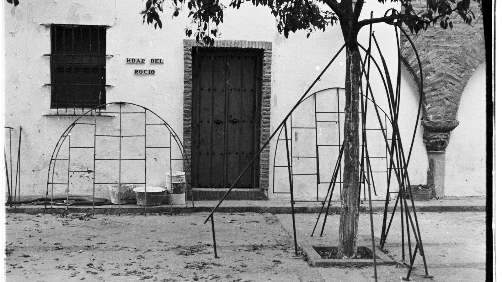 Polleros de los mantos en el patio de los naranjos del Salvador