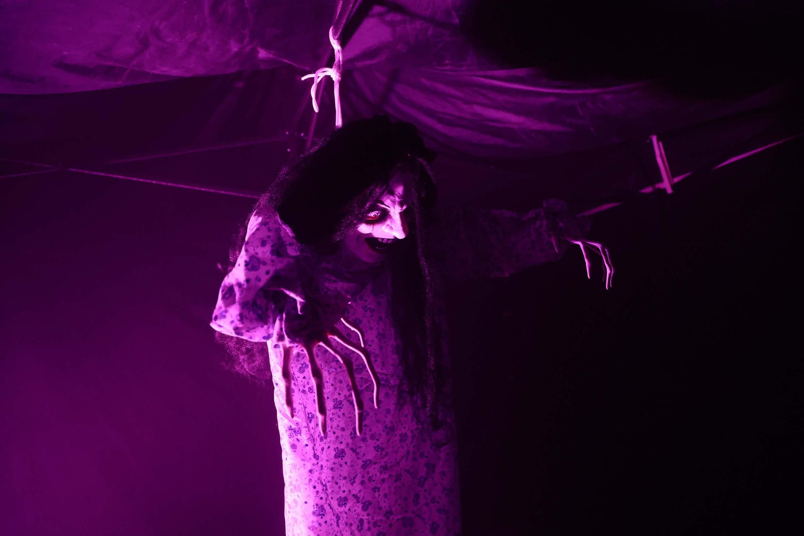 Las fotos de la Noche Especial en Algeciras