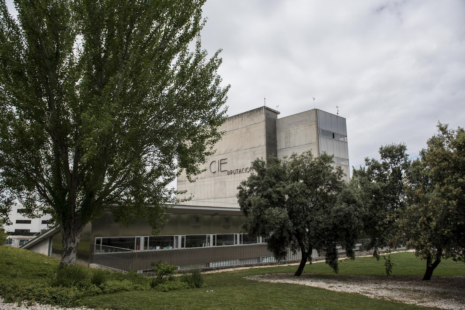 Del CIE al éxito: testimonios y experiencias de empresas