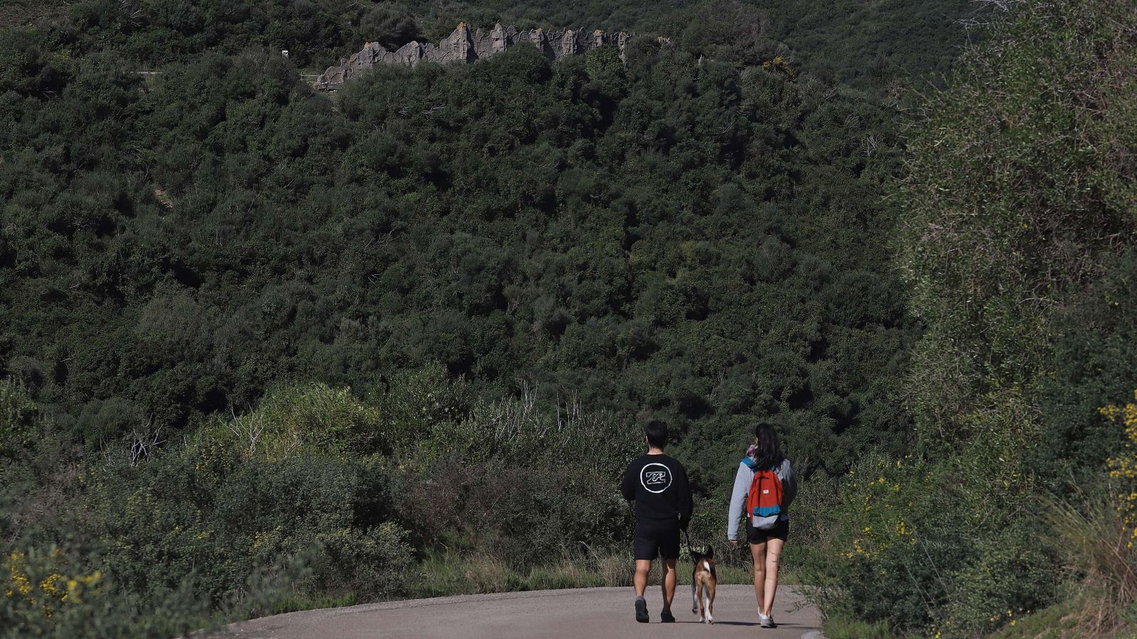 Carretera de Las Pantallas en Algeciras