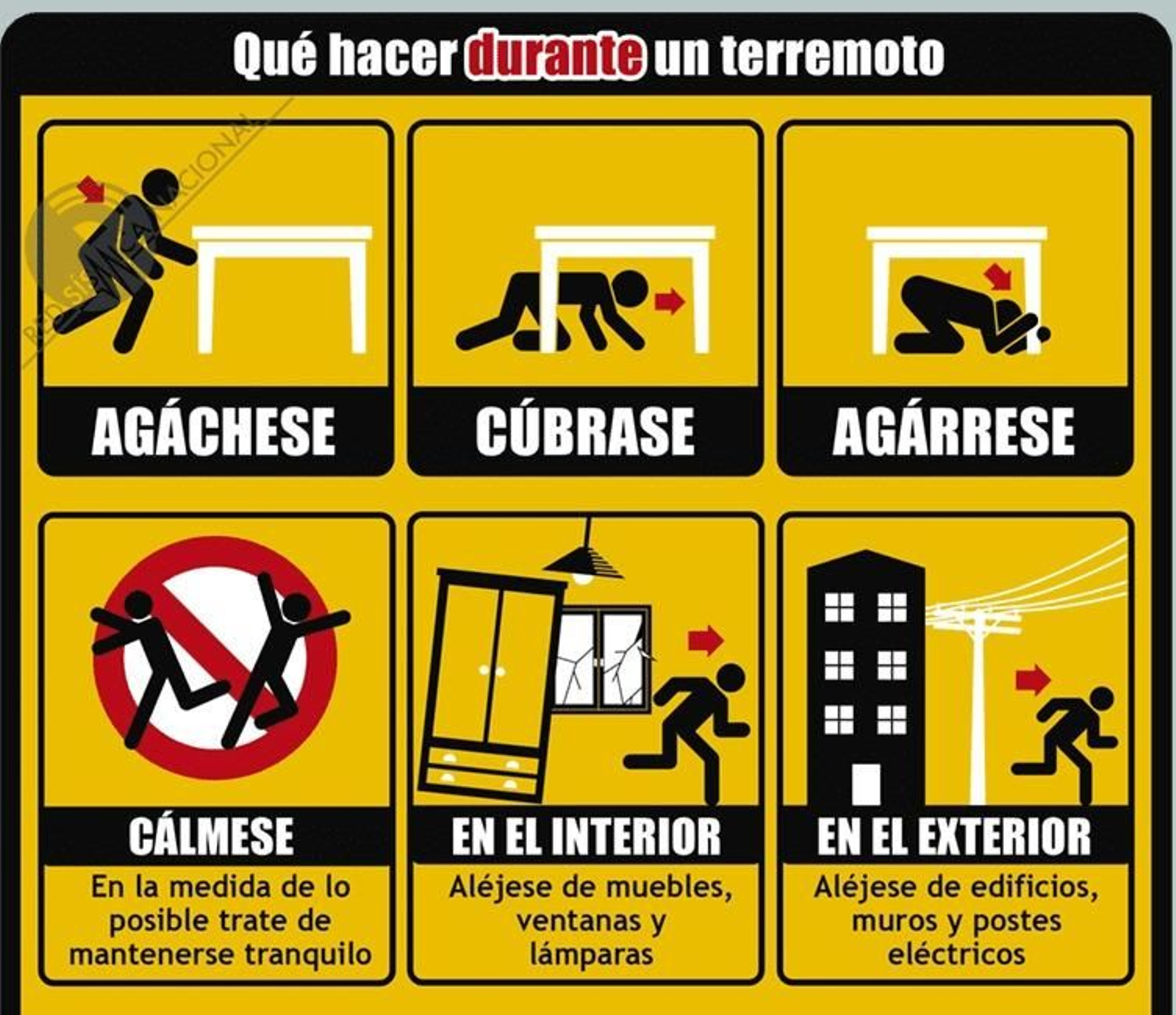 Recomendaciones a seguir ante un terremoto del Instituto Geográfico Nacional.