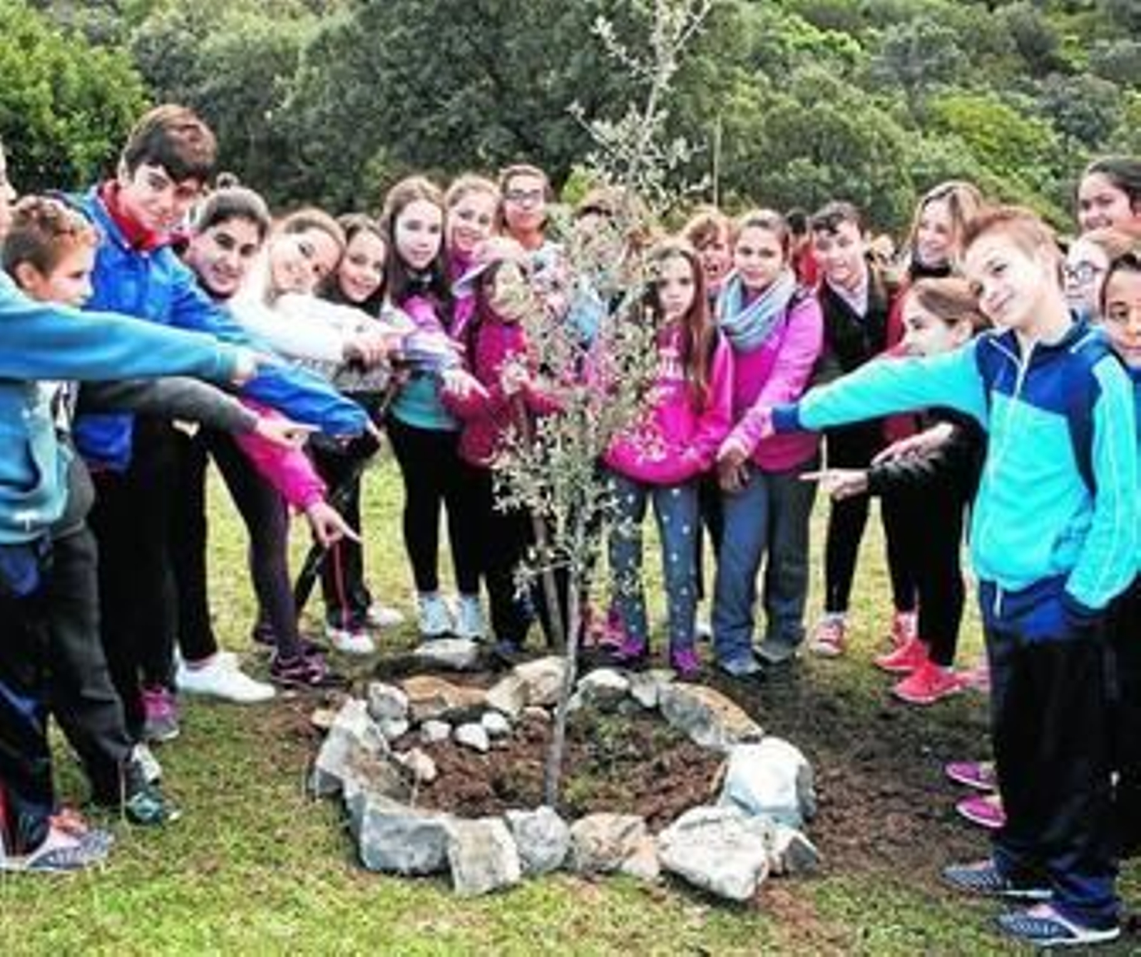 Alumnos de El Bosque y  Ubrique plantaron ayer una encina en el mirador del Puerto de los Acebuches.
