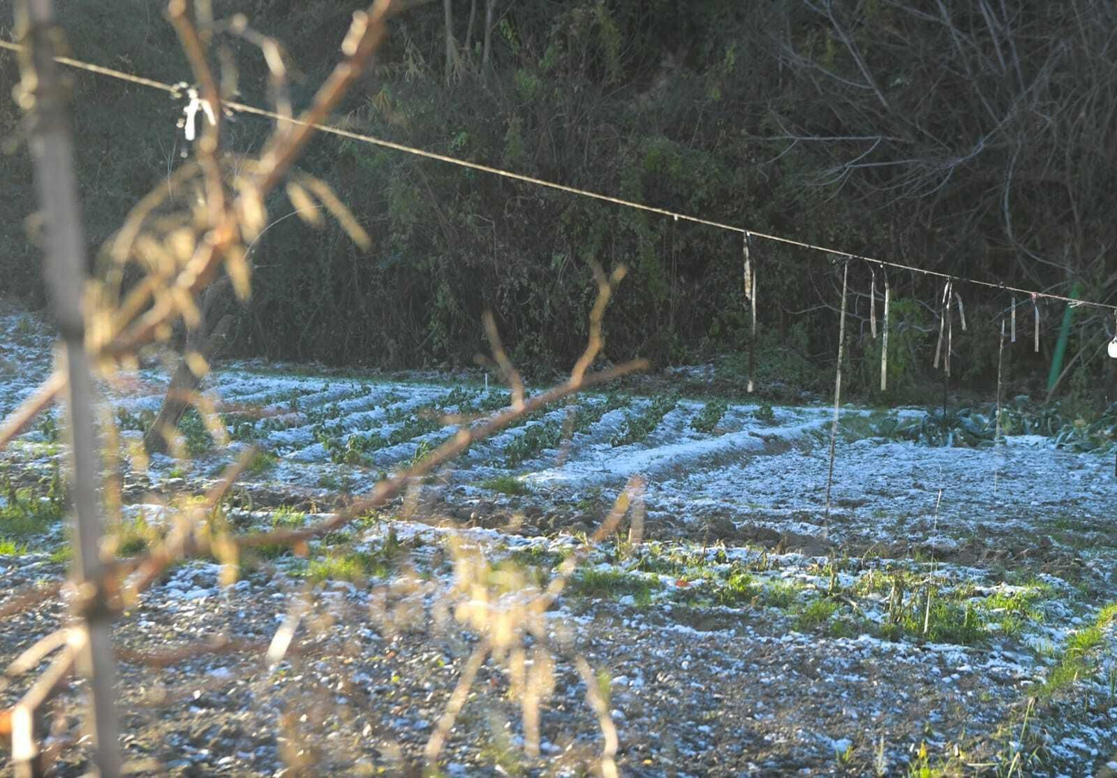 Escarcha esta mañana de miércoles en Granada. Escarcha esta mañana de miércoles en Granada.