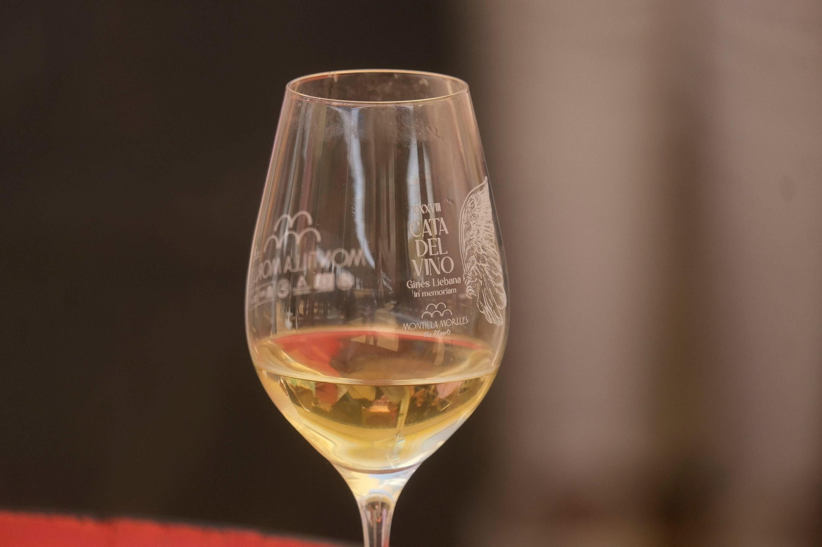 Última jornada en la Cata del Vino de Córdoba 2023, en imágenes