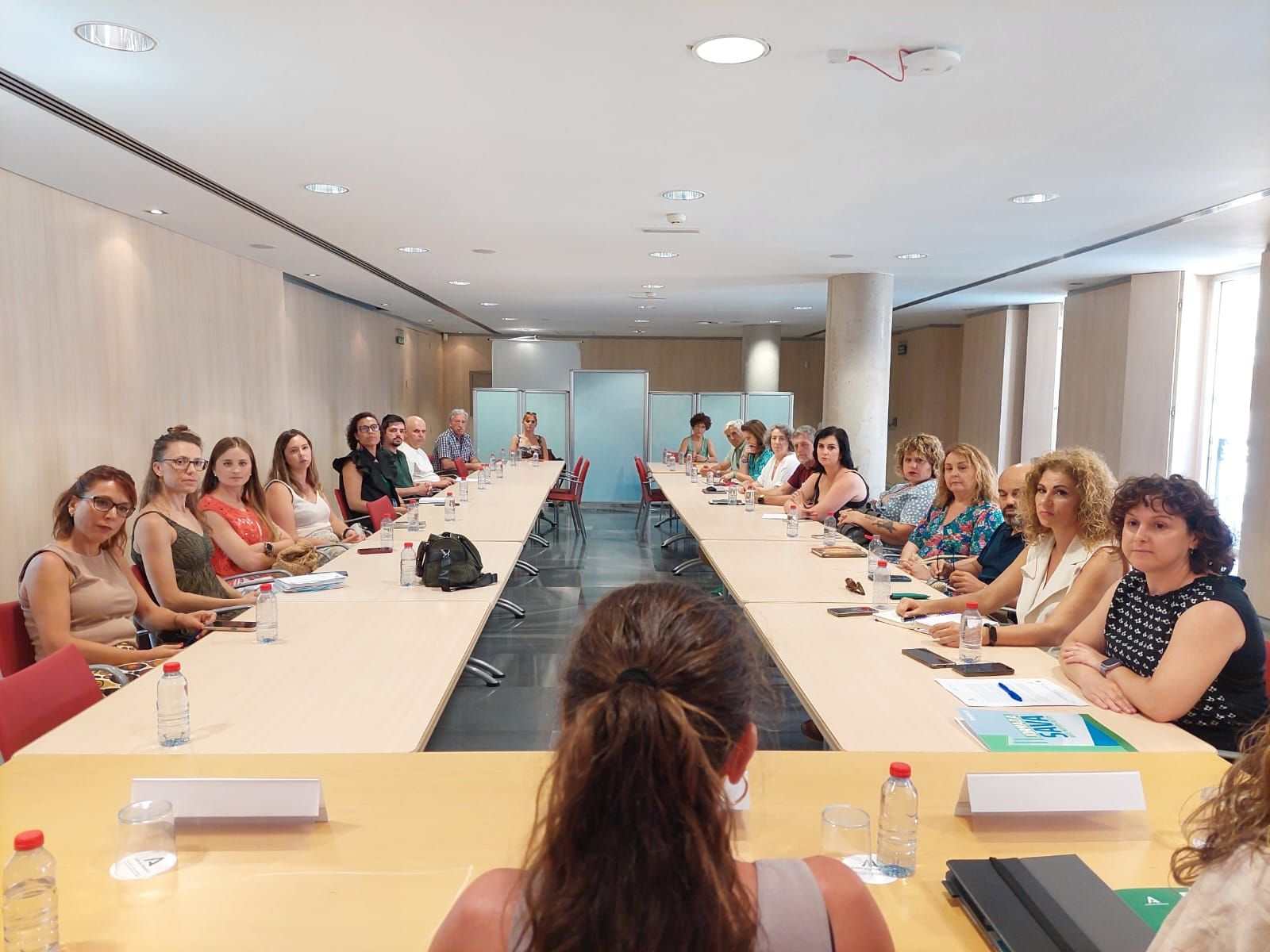 Reunión de la delegada del Gobierno y la delegada de Justicia con asociaciones de tercer sector para explicar el proyecto de la Junta