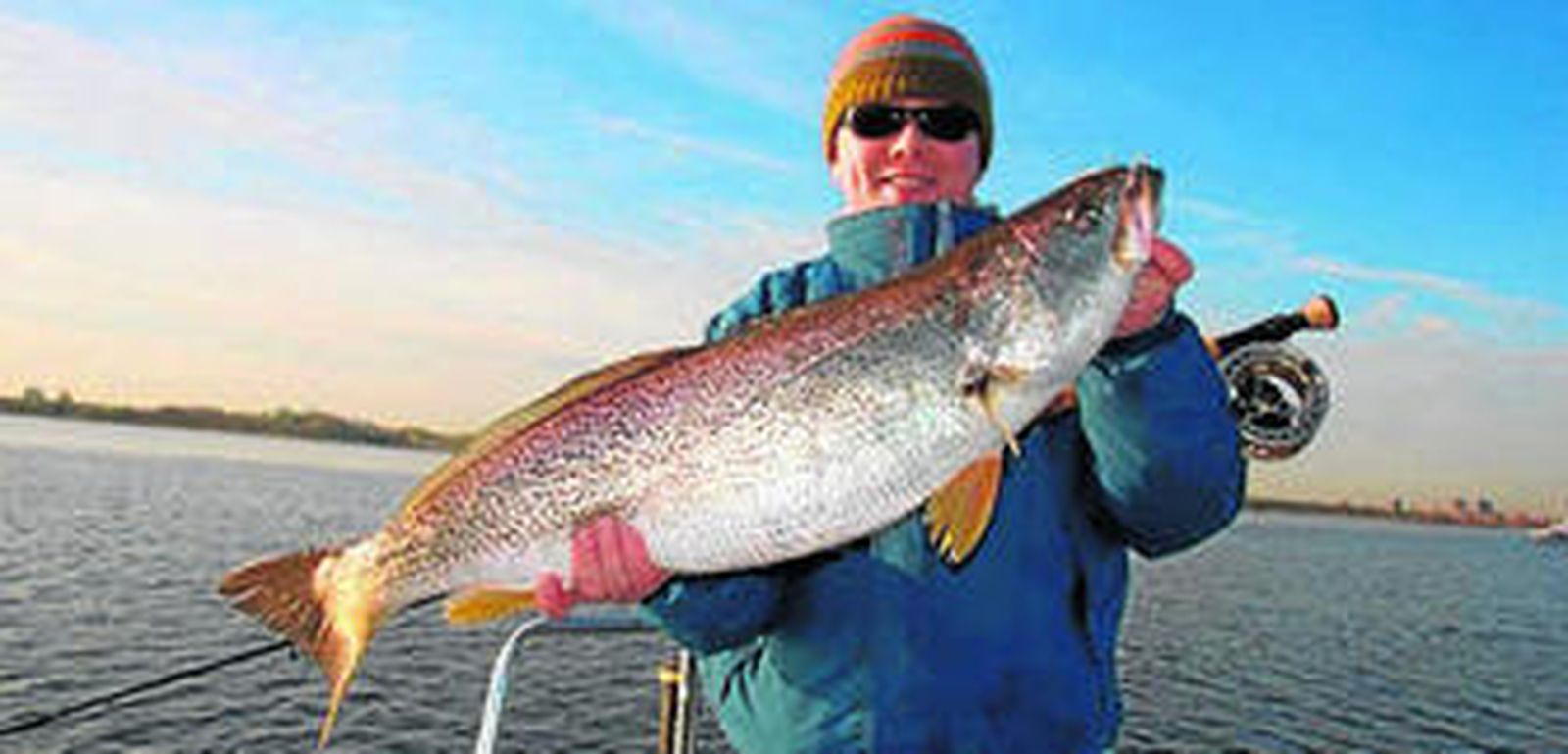 Un pescador norteamericano muestra un ejemplar de corvinata real.