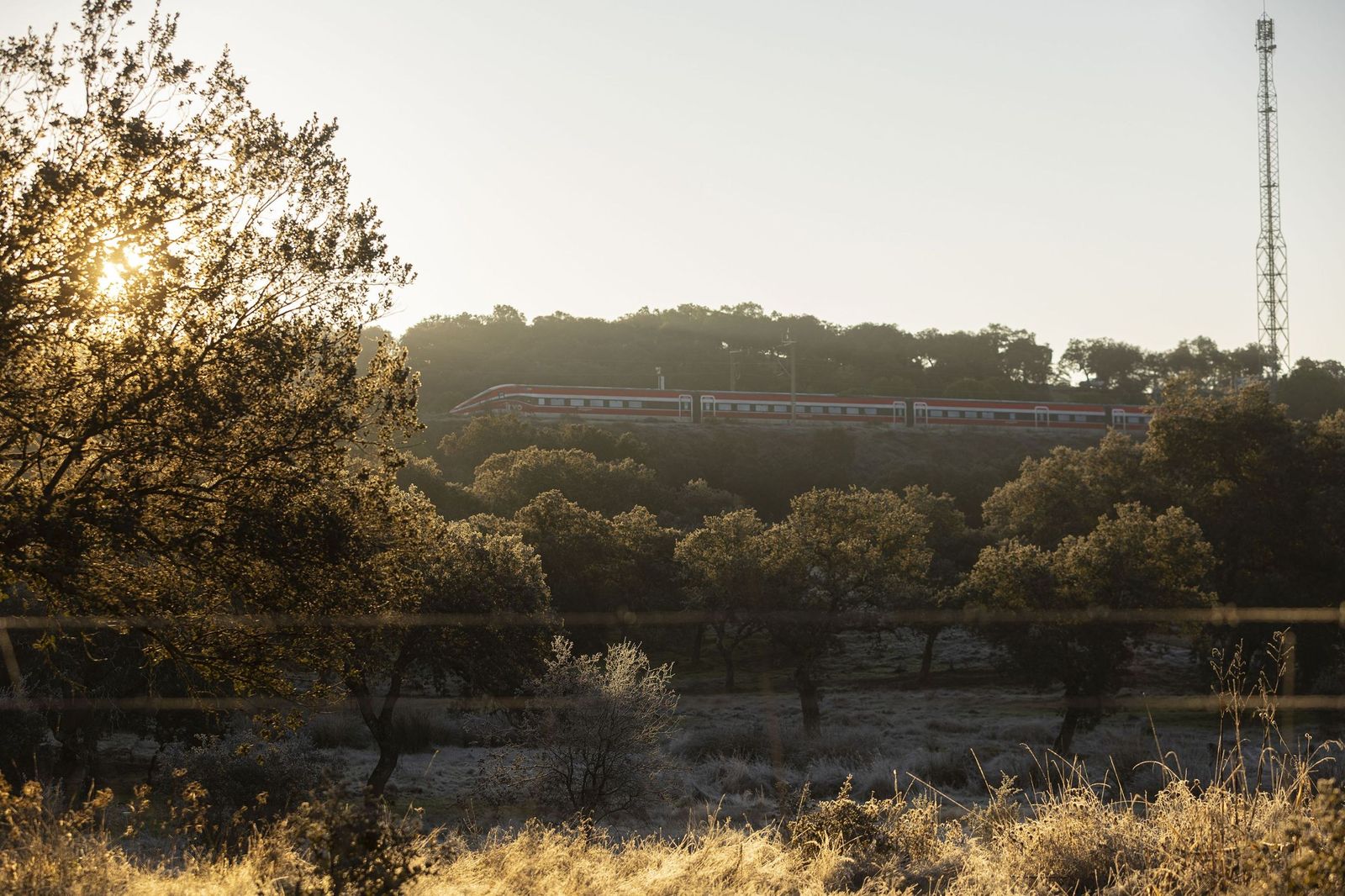 Adamuz afronta el segundo día después de la tragedia ferroviaria