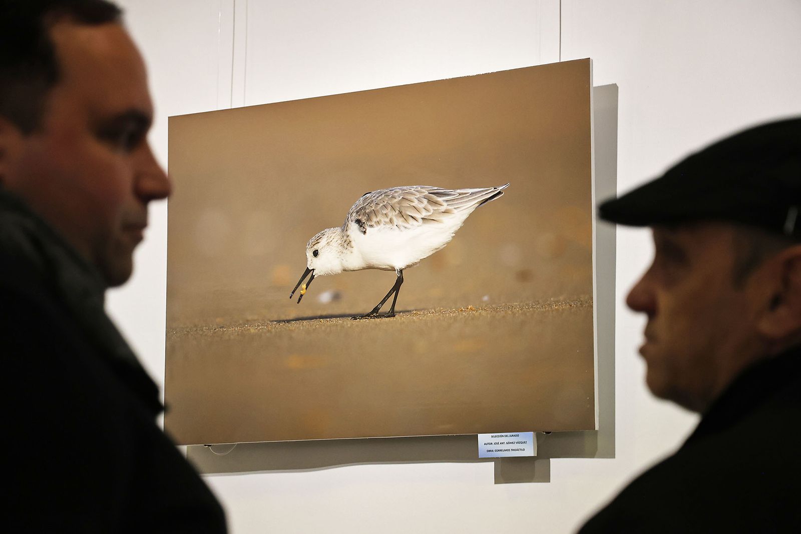 Exposición del Concurso de Fotografía 'Alas del Odiel'