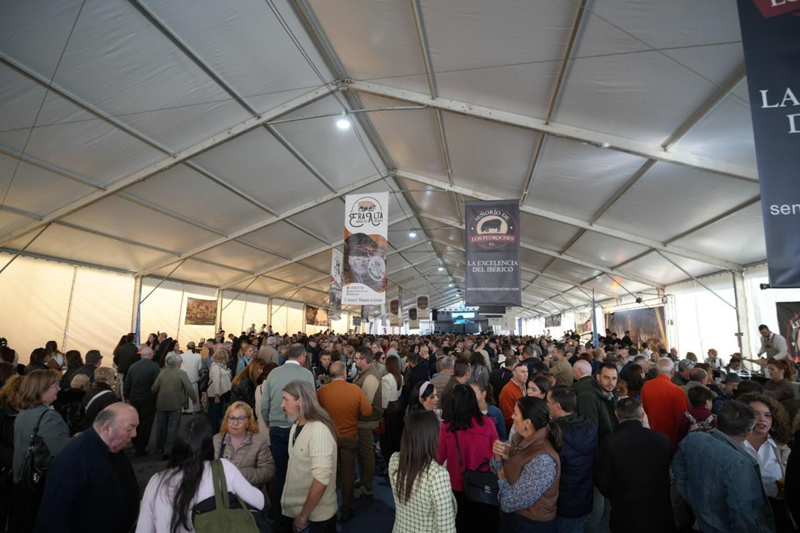 Las mejores imágenes del sábado de Feria del Jamón 100% Ibérico de Los Pedroches