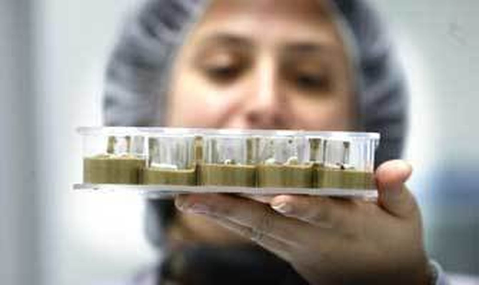 Una empleada de Bionaturis con unas muestras de laboratorio. /Pascual