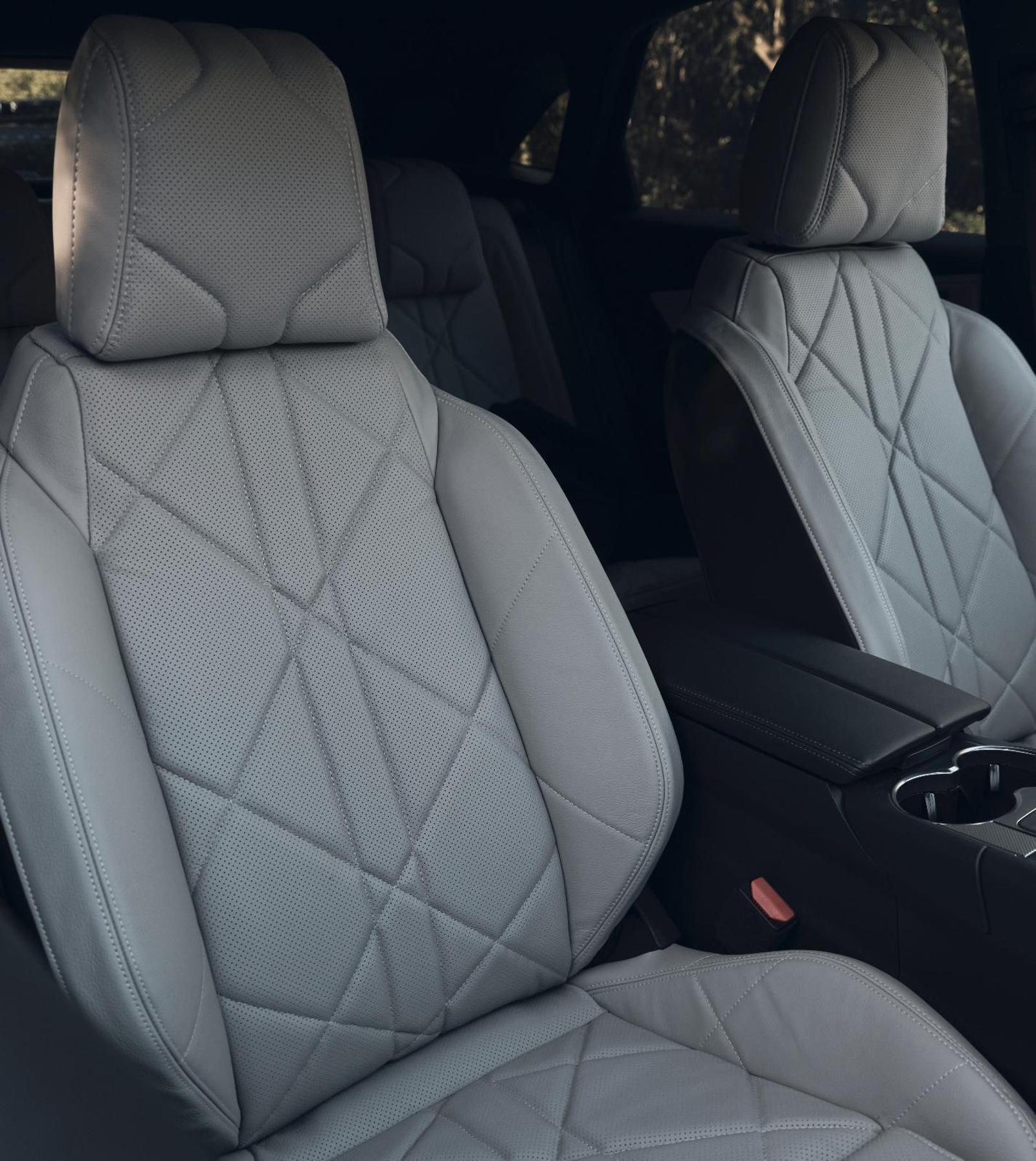 El color gris es el dominante en guarnecidos y tapizados en el caso de esta edición especial.