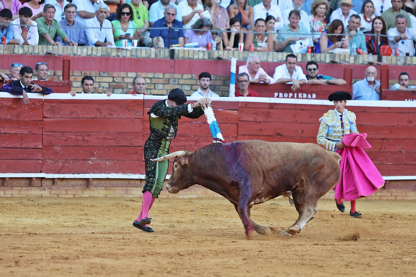 Toros La Merced 2024 Novillada con picadores(