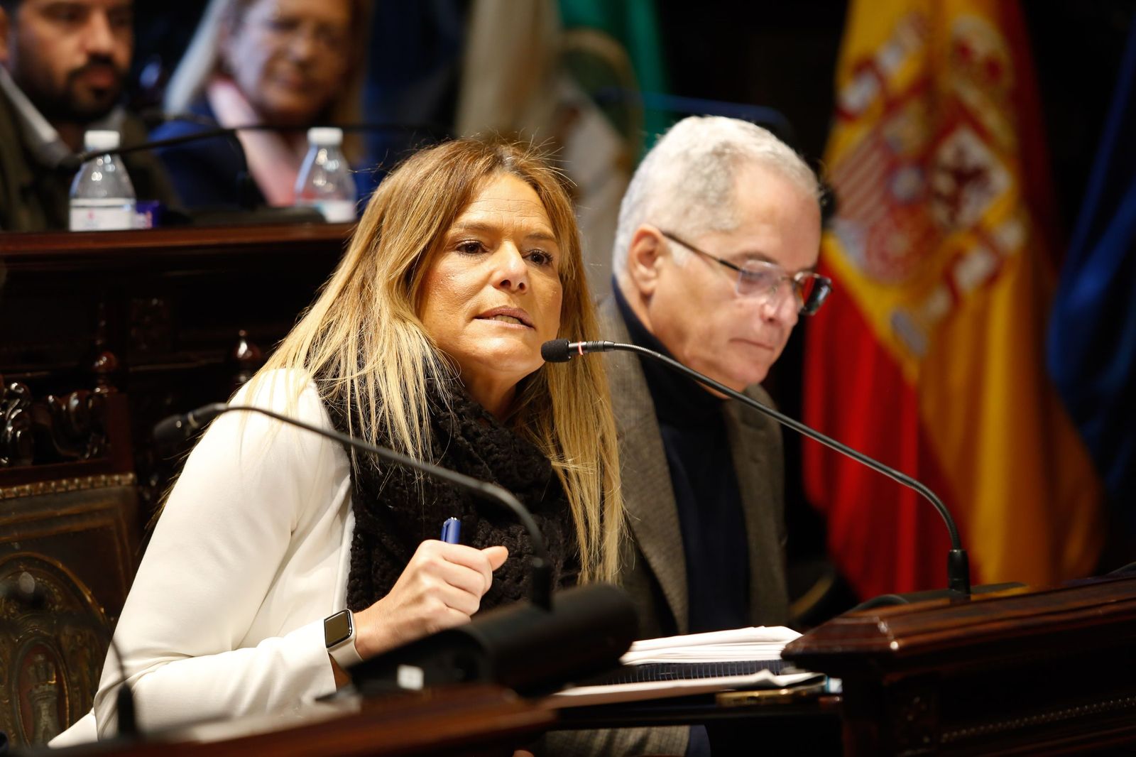 La encargada de defender el expediente fue María Solanes, voz cantante del equipo de gobierno.