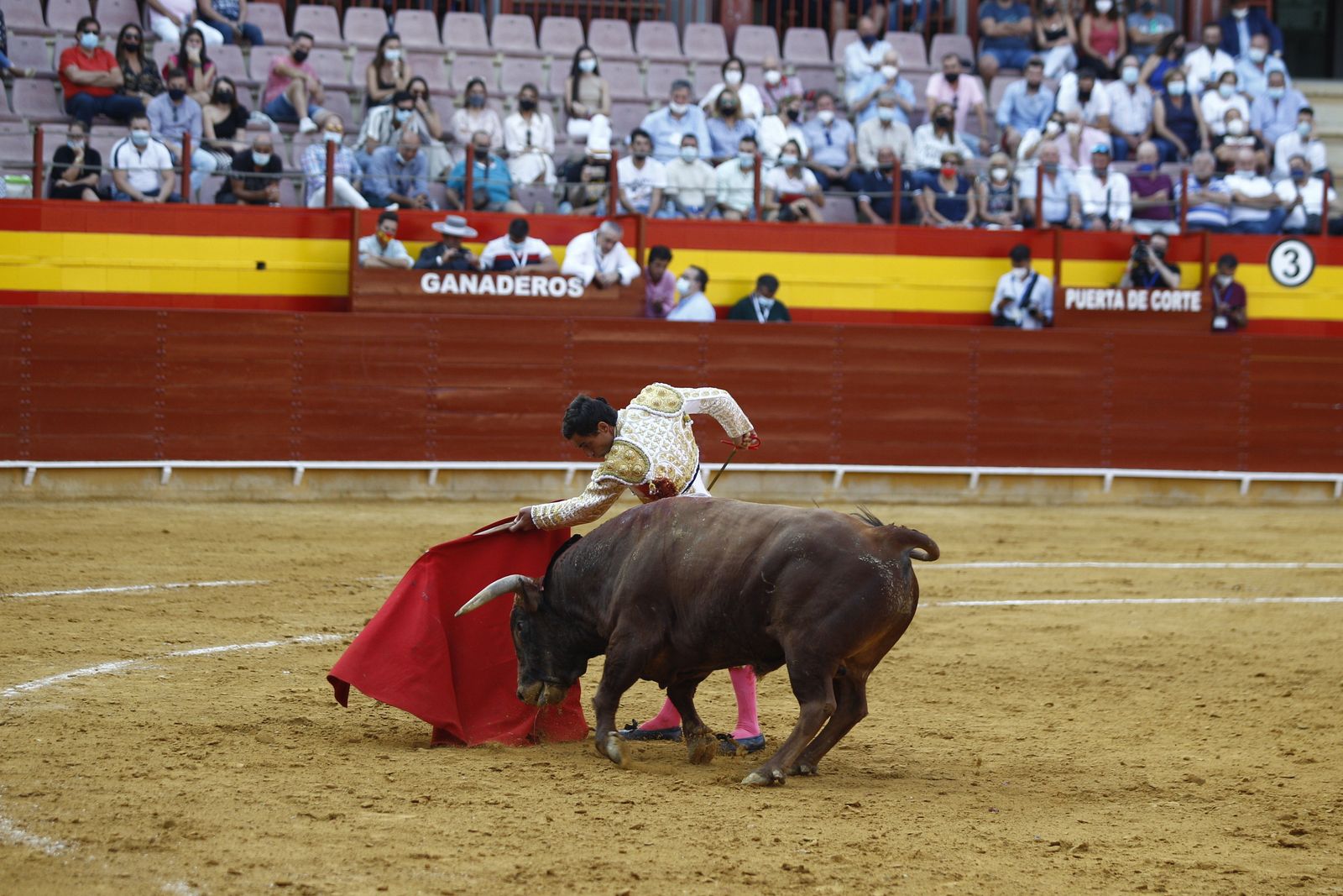Fotogalería corrida de toros. Cayetano Rivera, Paco Ureña y Roca Rey. Roquetas de Mar.