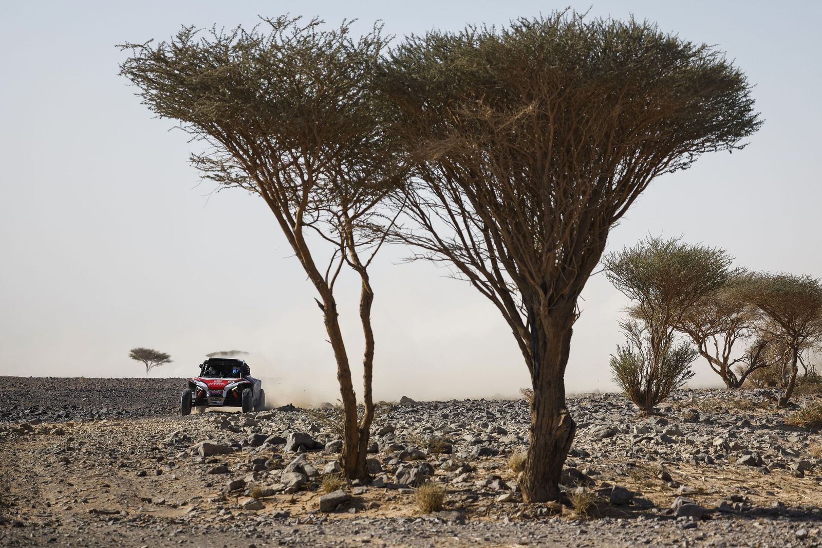 Las mejores fotos del Rally Dakar | Novena etapa